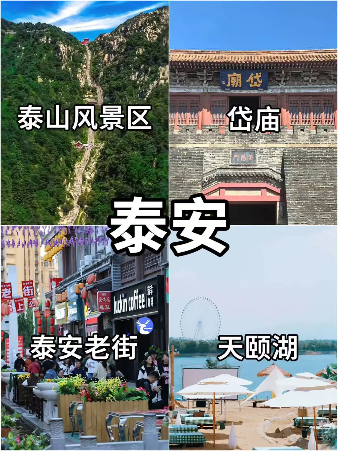 来喽来喽!宝子们最新五一山东旅游攻略🤪