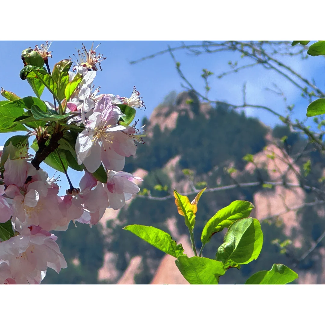 银山塔林 没get❌