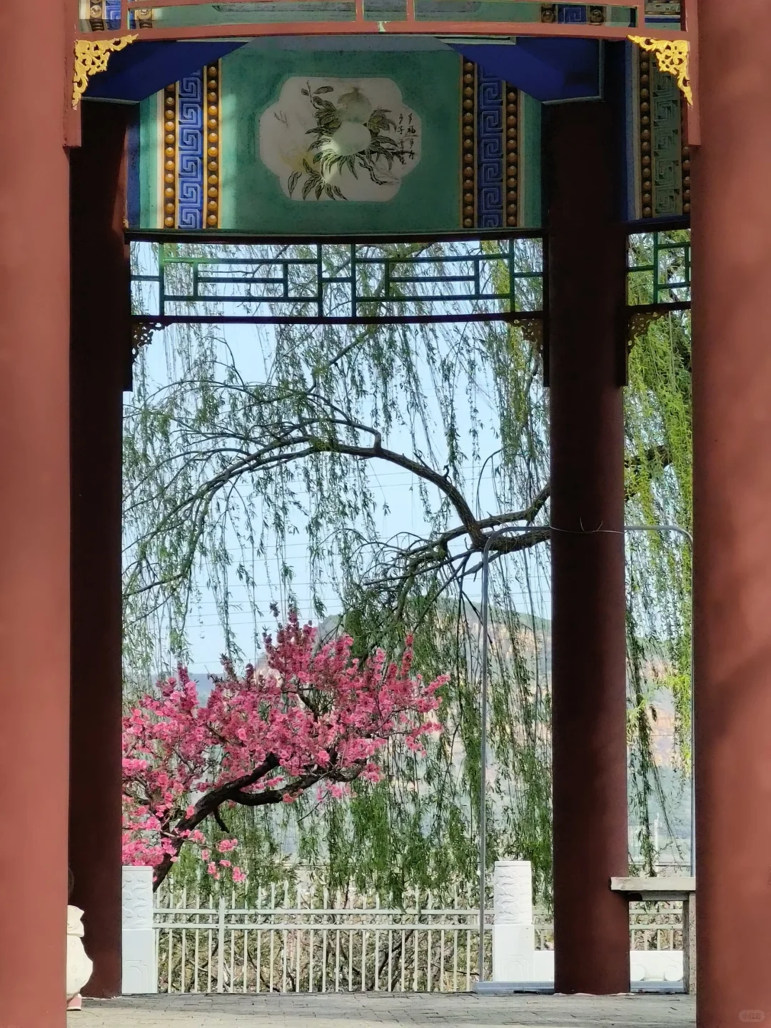 京郊出游｜平谷桃花海，乱花渐欲迷人眼