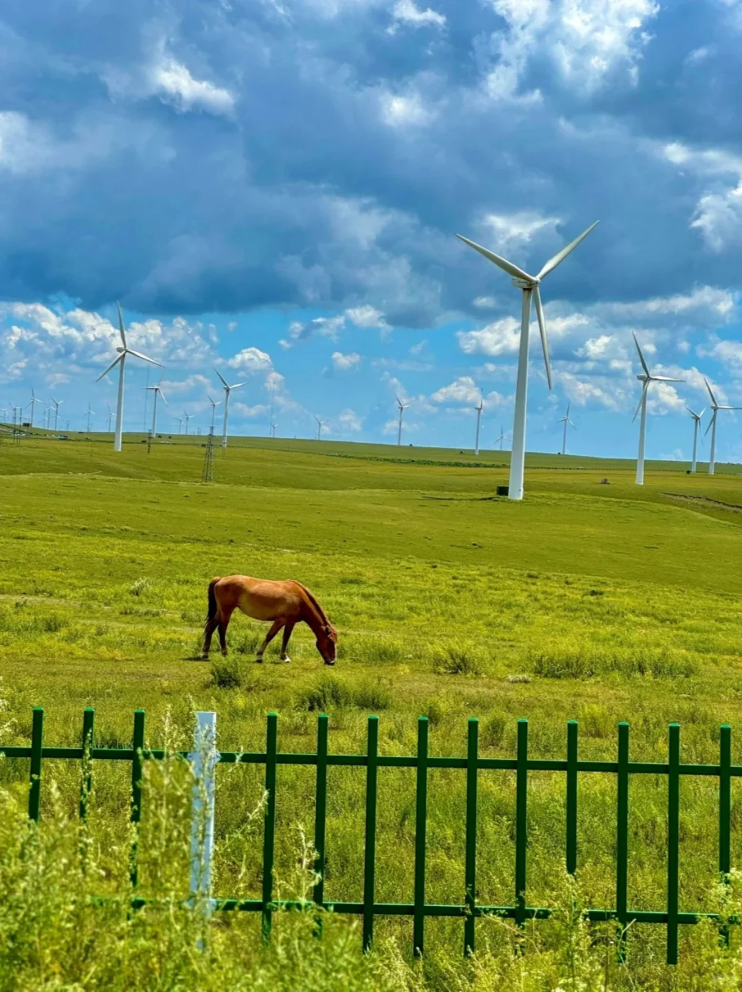 预计五一会🔥爆火的地方——呼和浩特🌄