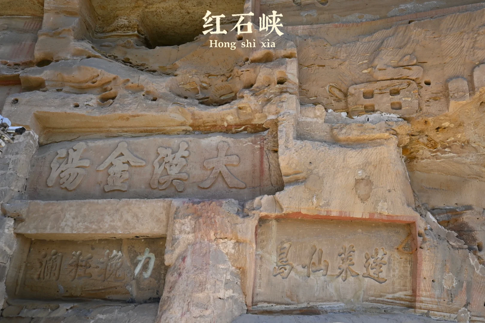 后来，我总是回想起在山谷荡秋千的那个下午