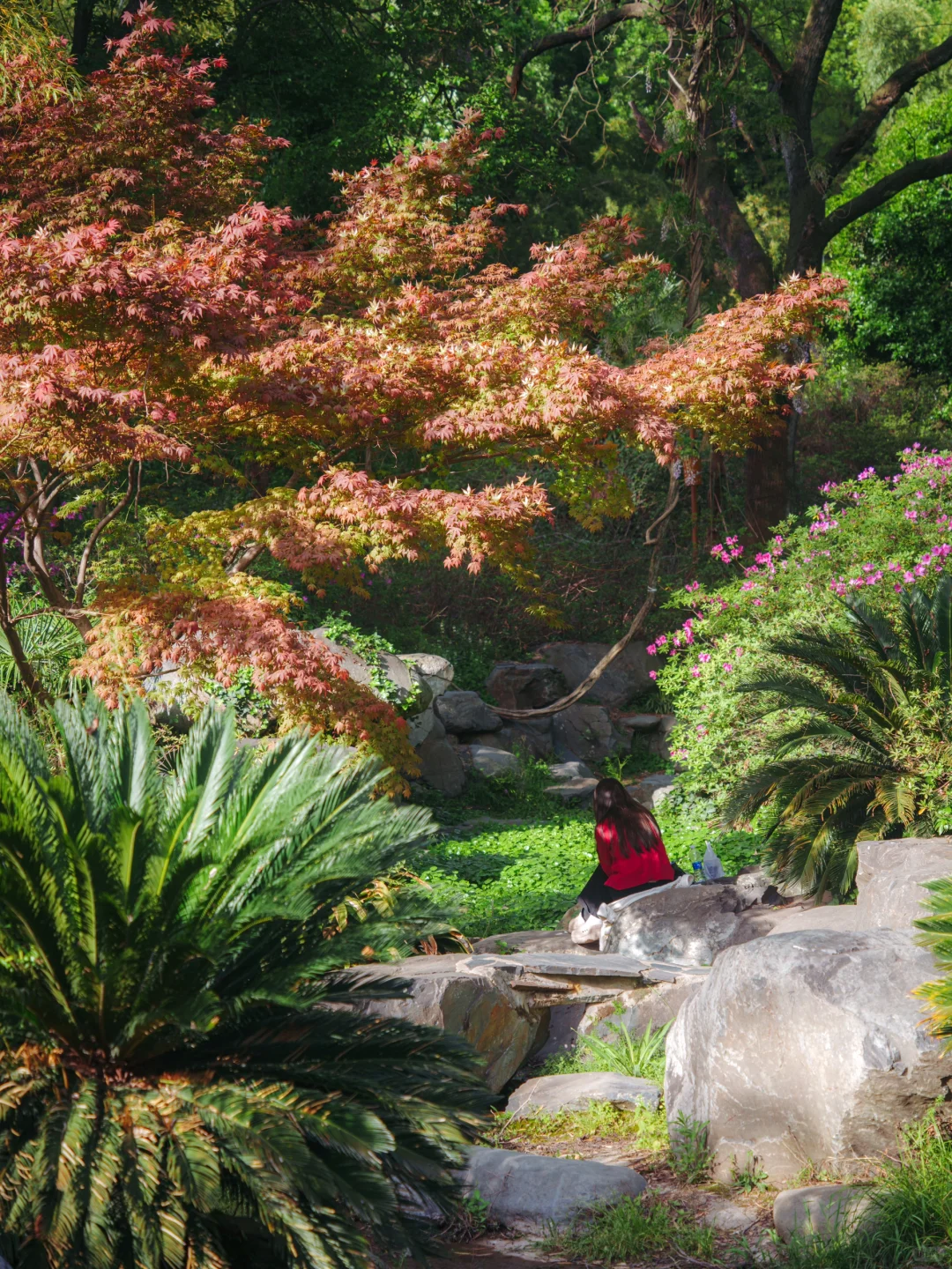 上春山 | 东湖磨山