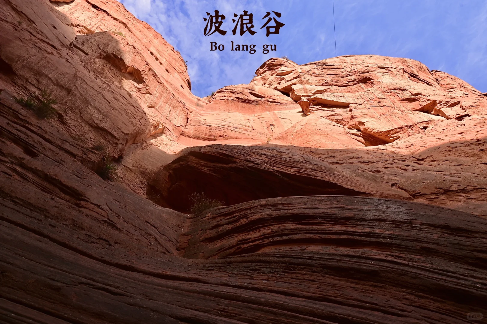 后来，我总是回想起在山谷荡秋千的那个下午