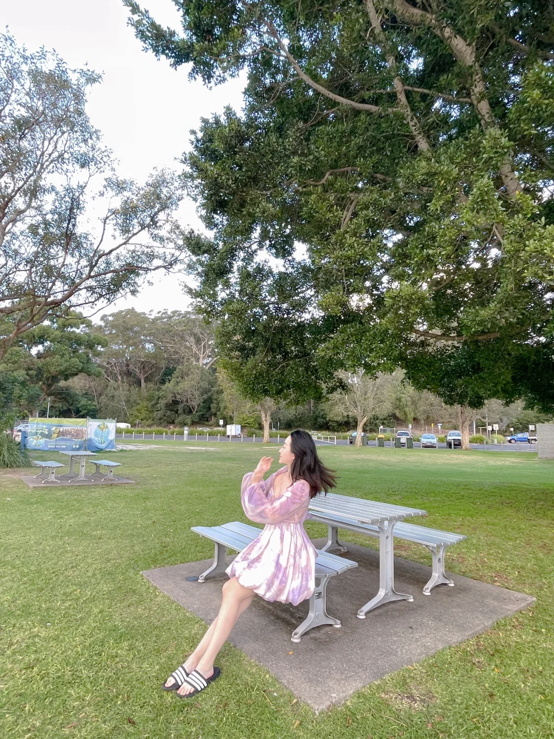 悉尼附近Port Stephens史蒂芬港旅行攻略