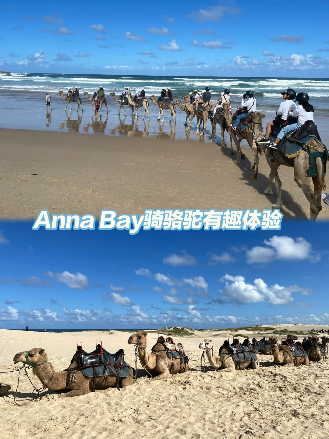 悉尼附近Port Stephens史蒂芬港旅行攻略