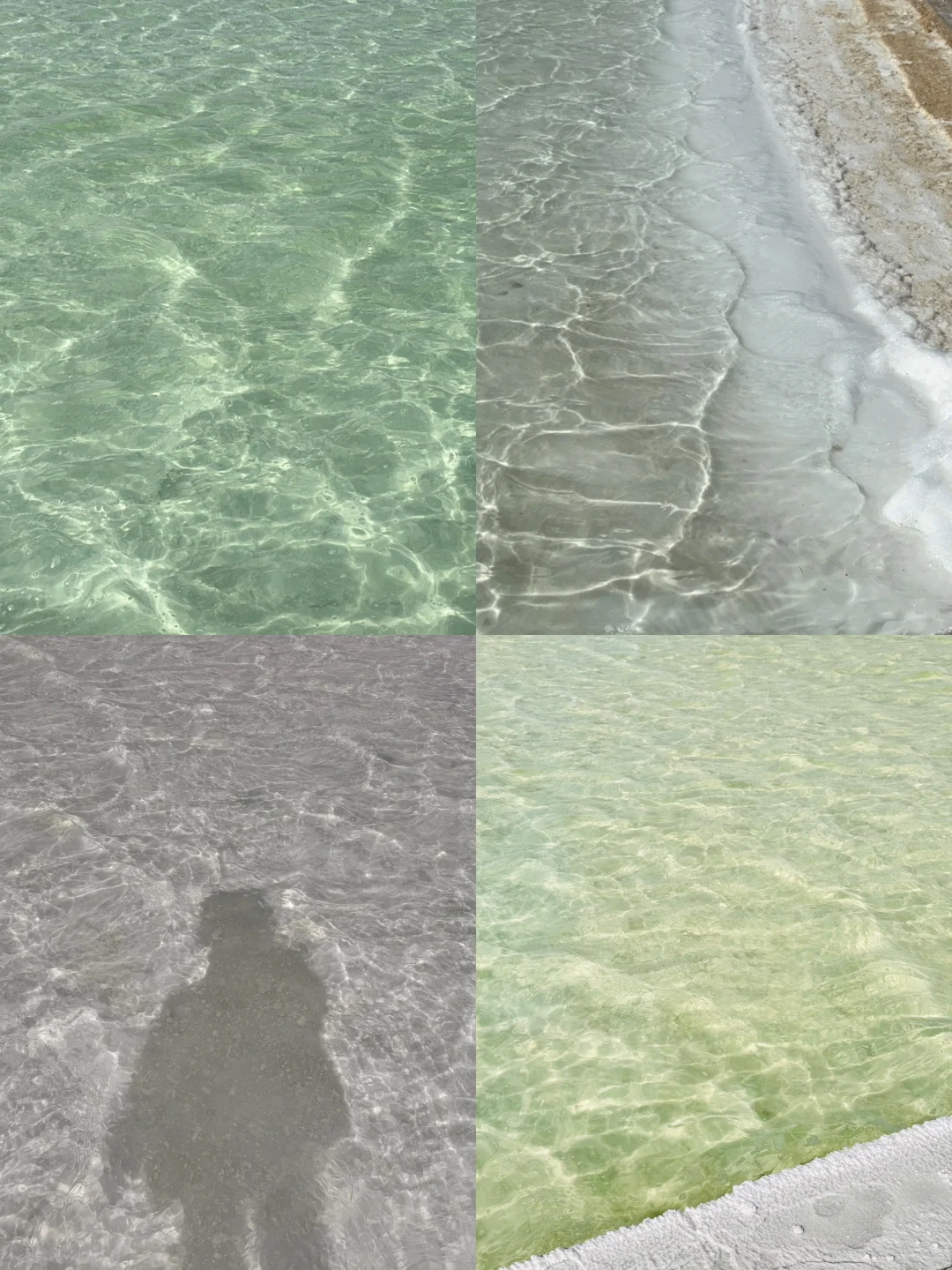 38元青海西宁一日游旅行团真实体验