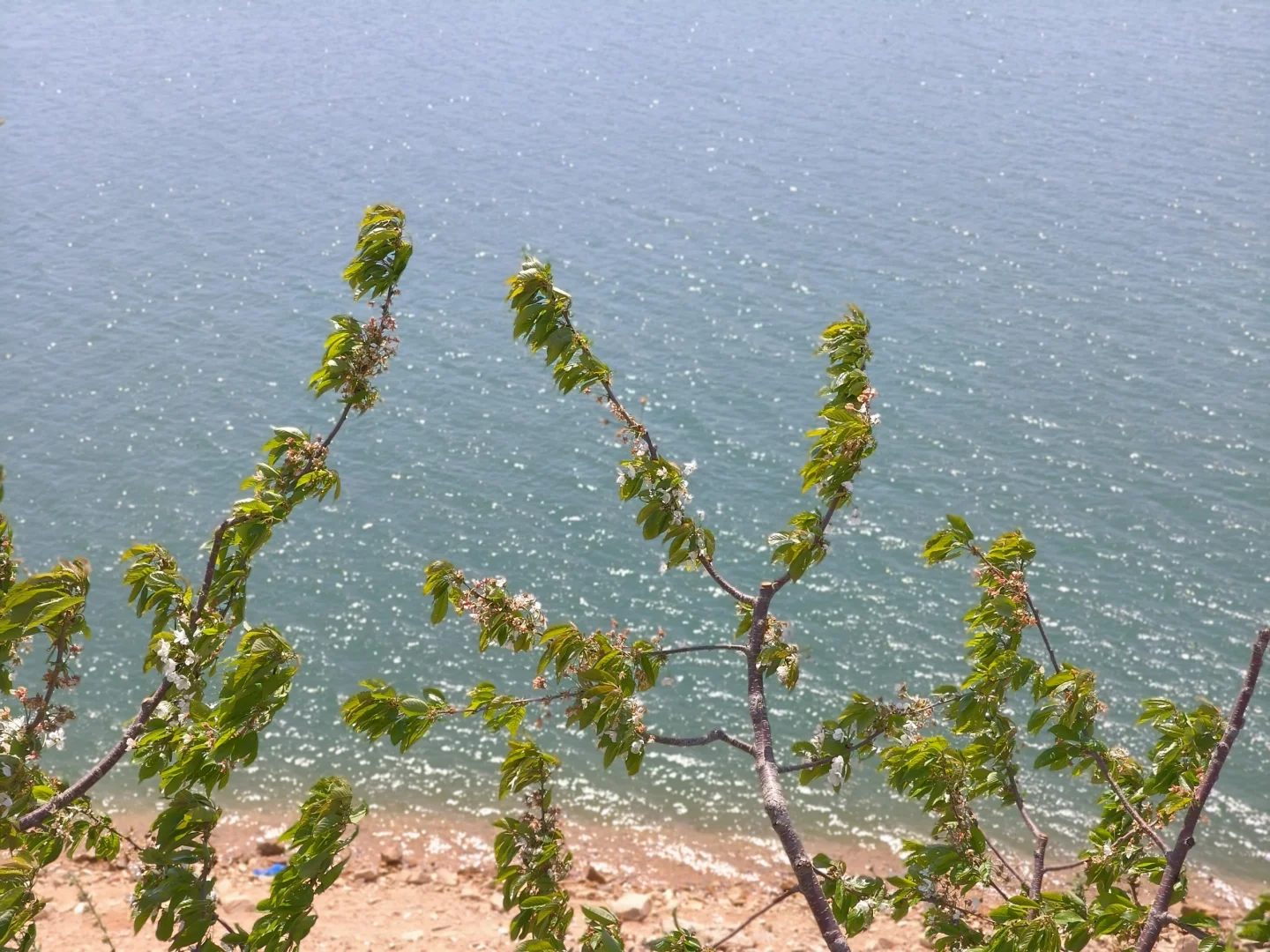 京郊出游｜平谷桃花海，乱花渐欲迷人眼
