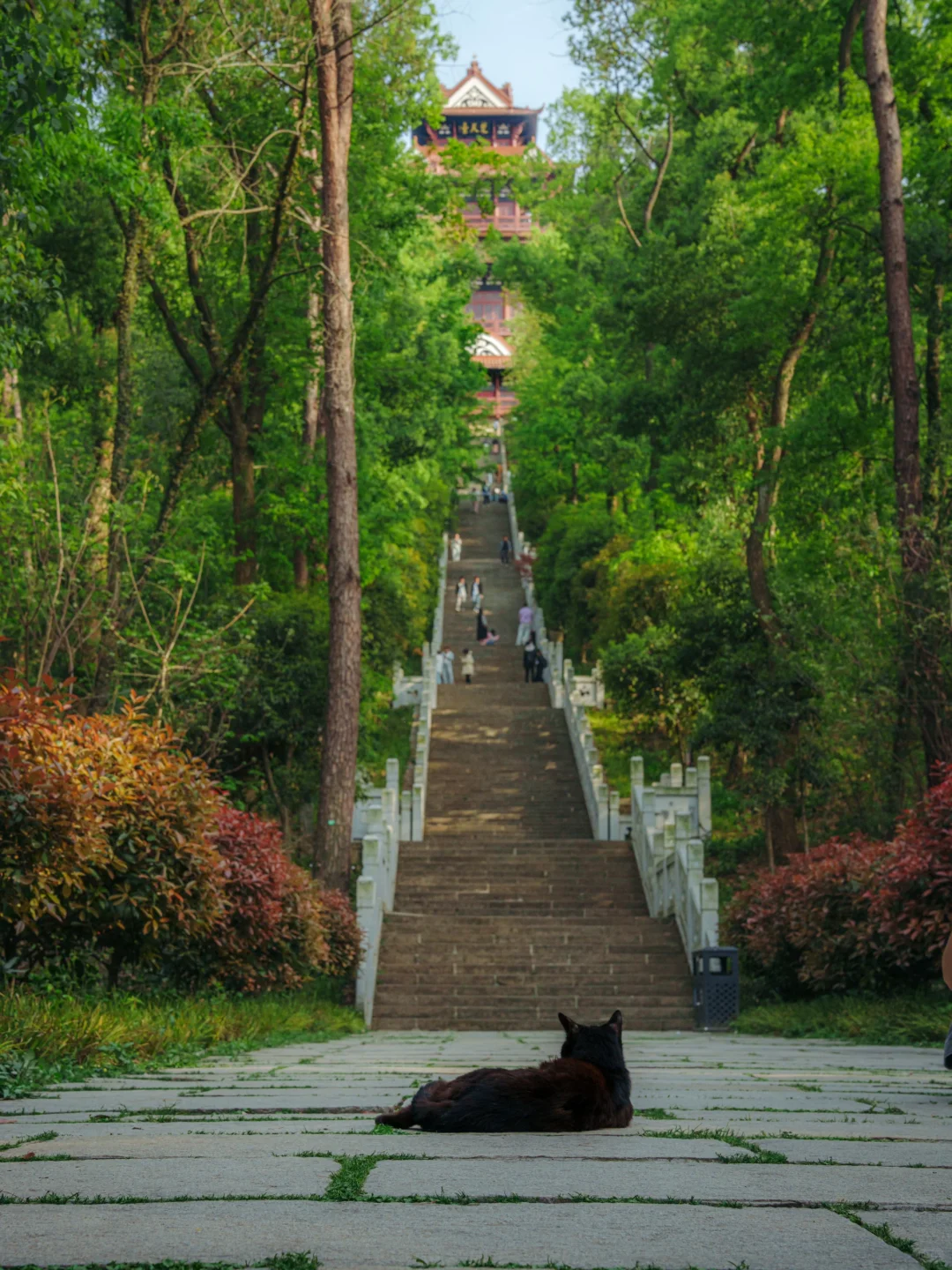 上春山 | 东湖磨山