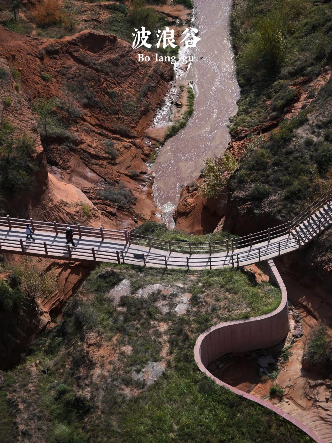 后来，我总是回想起在山谷荡秋千的那个下午