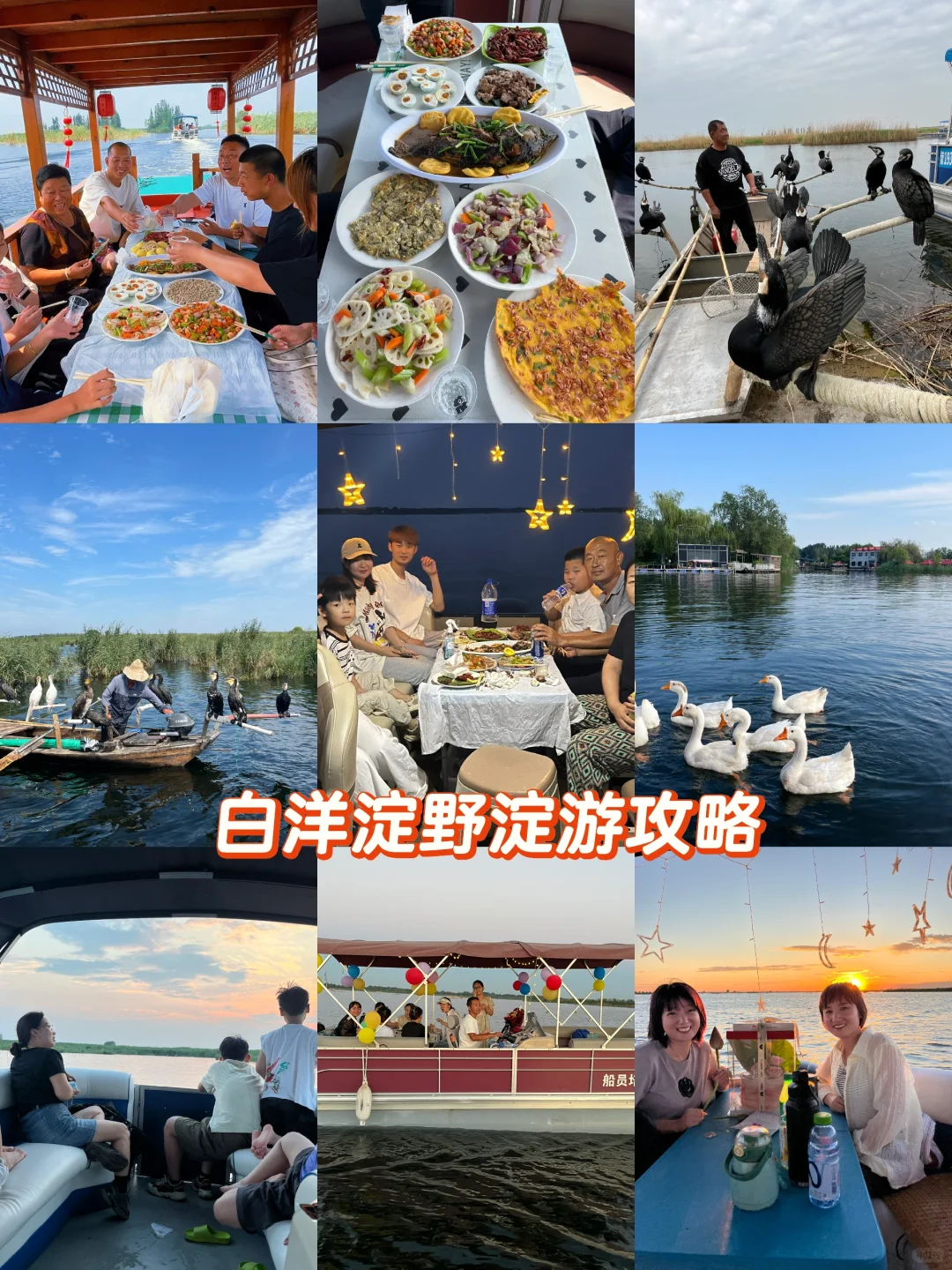 别再只知道白洋淀景区啦!野淀才是宝藏