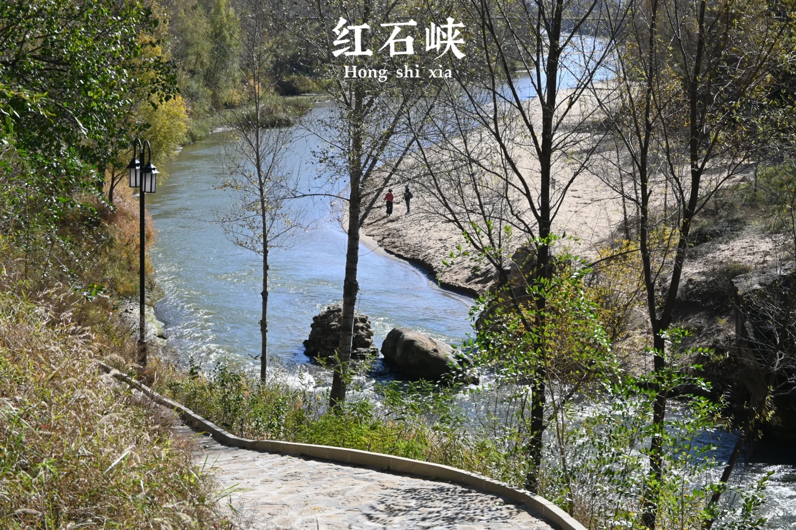 后来，我总是回想起在山谷荡秋千的那个下午