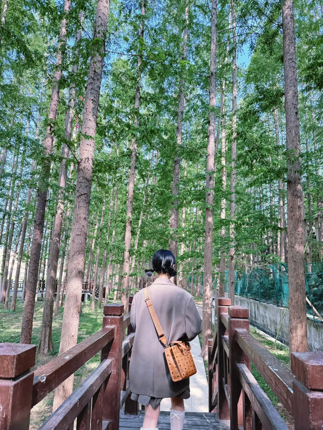 六合金牛湖风景区。