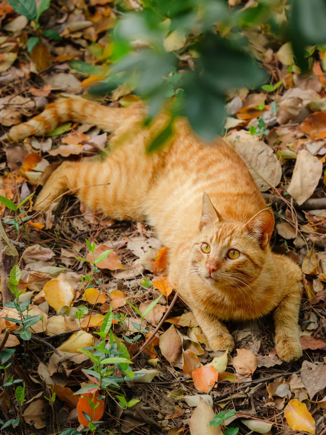 上春山 | 东湖磨山