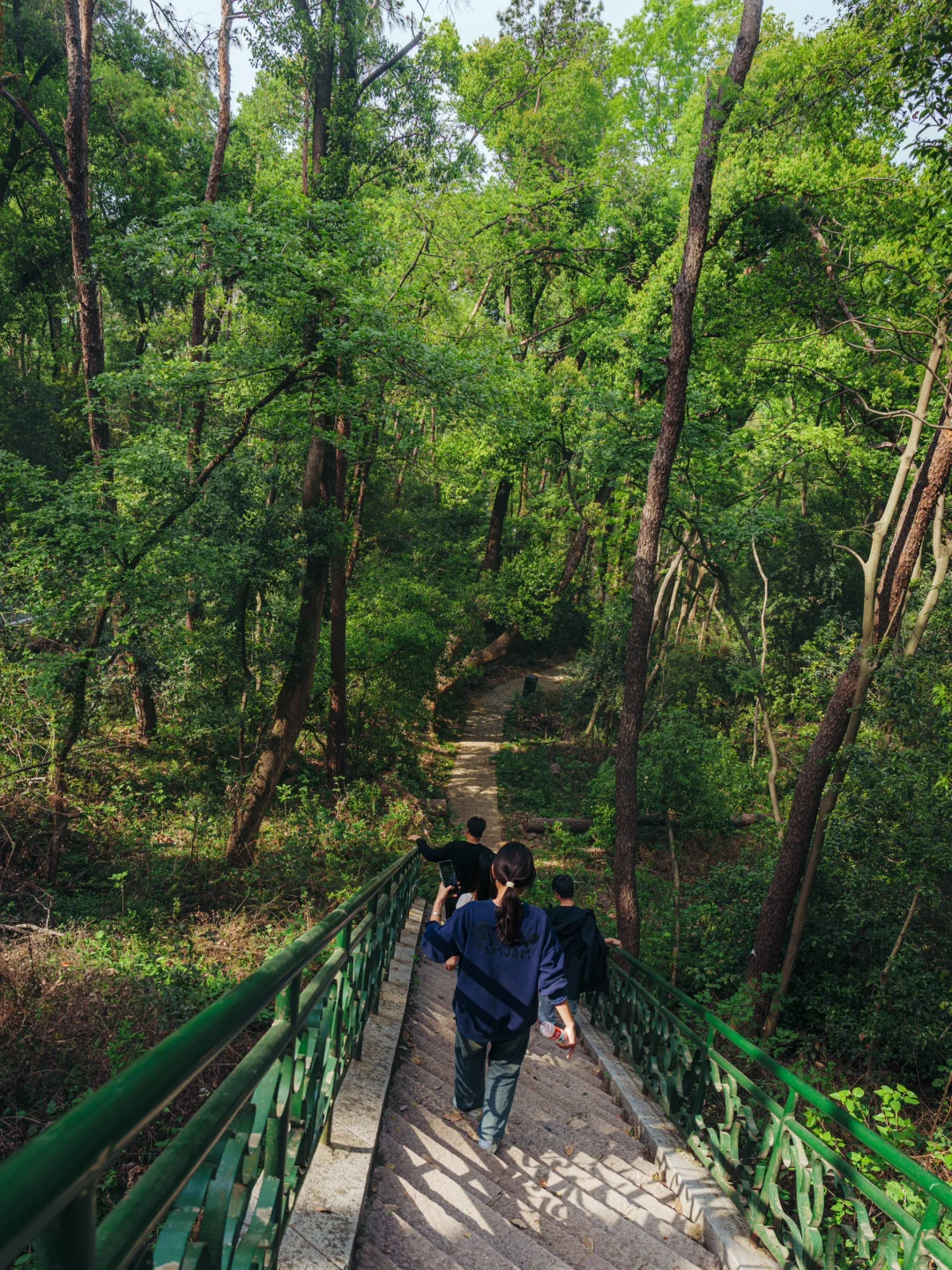 上春山 | 东湖磨山