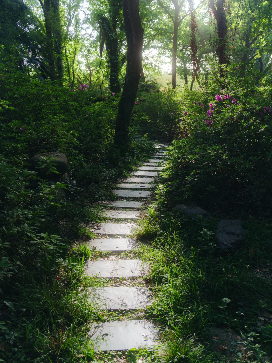 上春山 | 东湖磨山