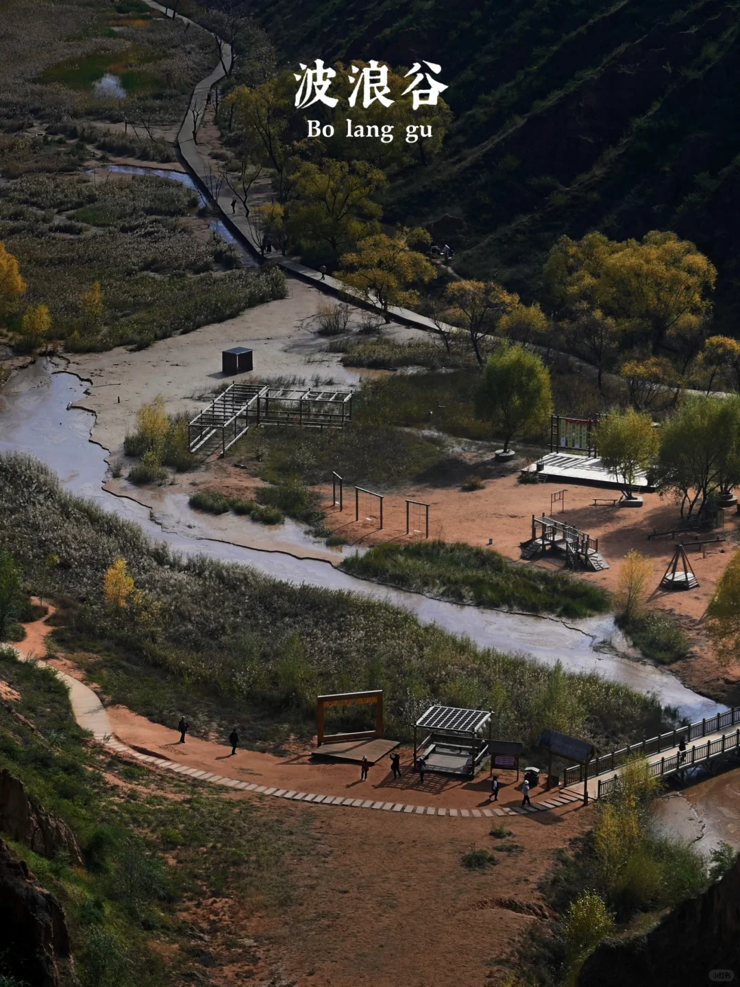 后来，我总是回想起在山谷荡秋千的那个下午