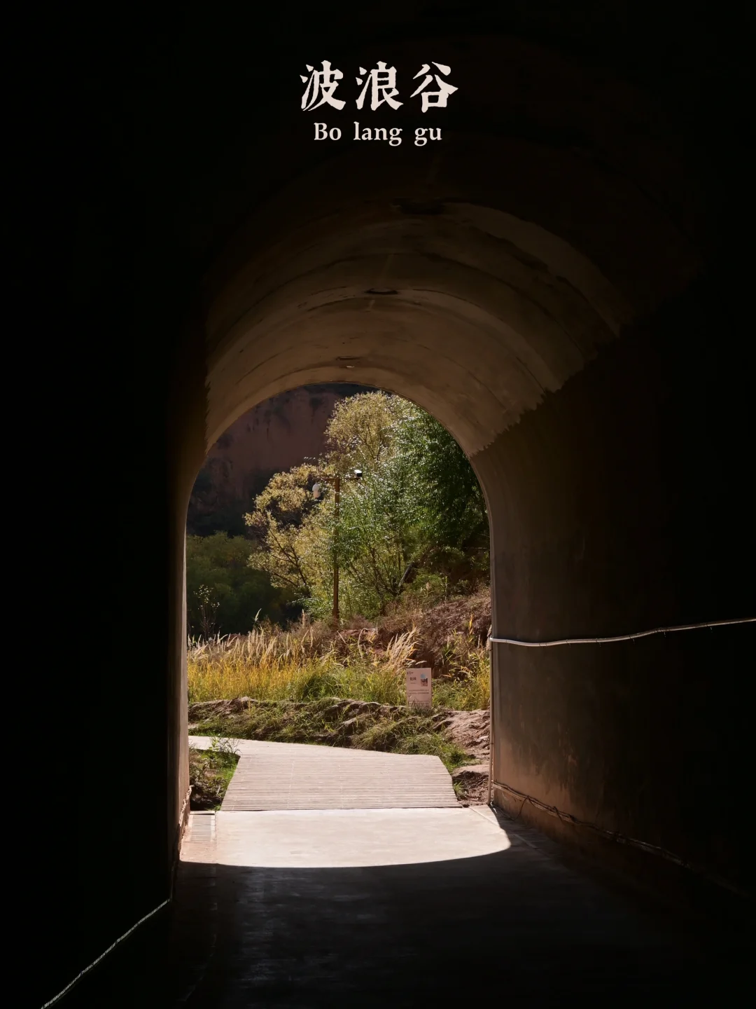 后来，我总是回想起在山谷荡秋千的那个下午