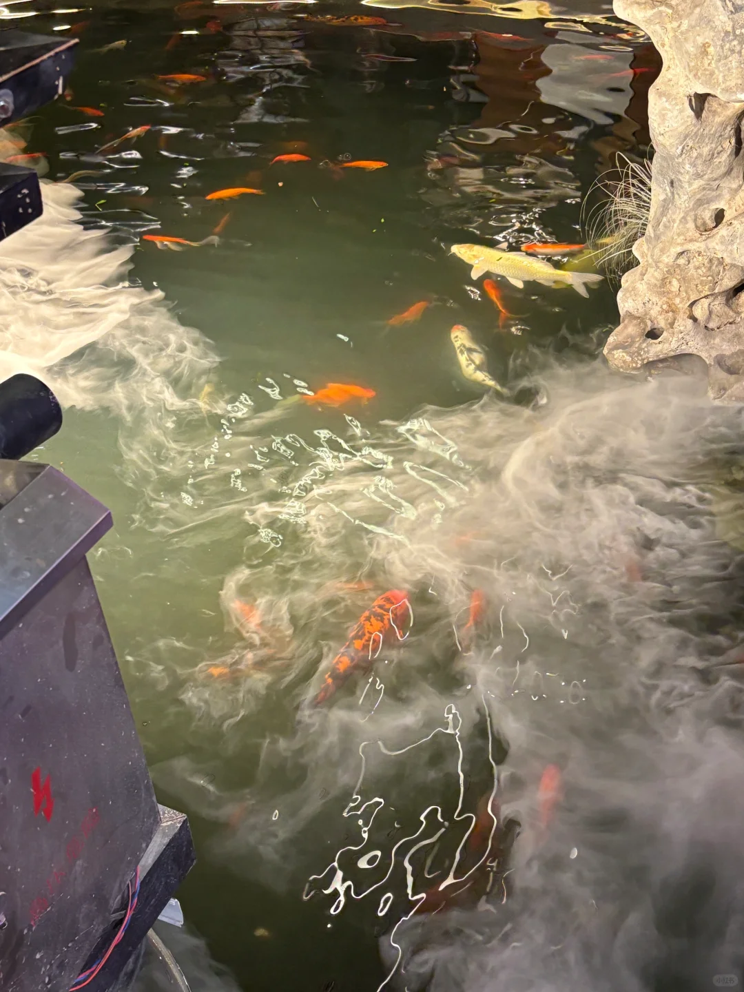 园林卡第二站—虎丘塔