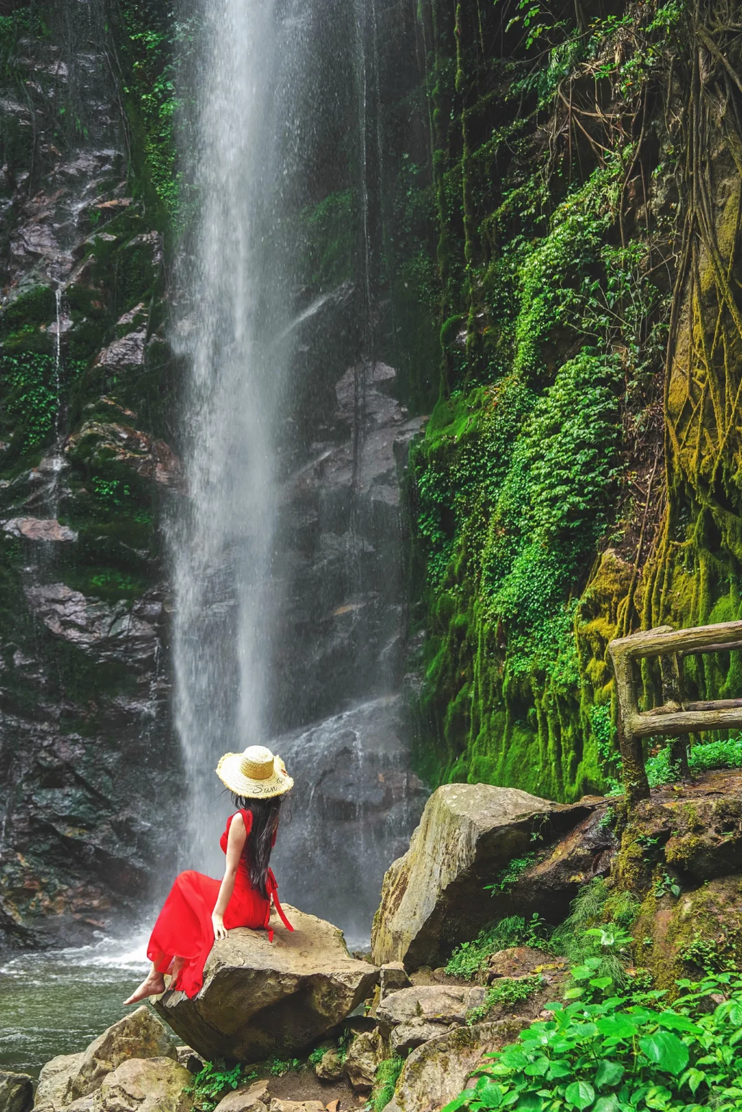云南秘境绿野仙踪｜徒步热带雨林的奇妙日记