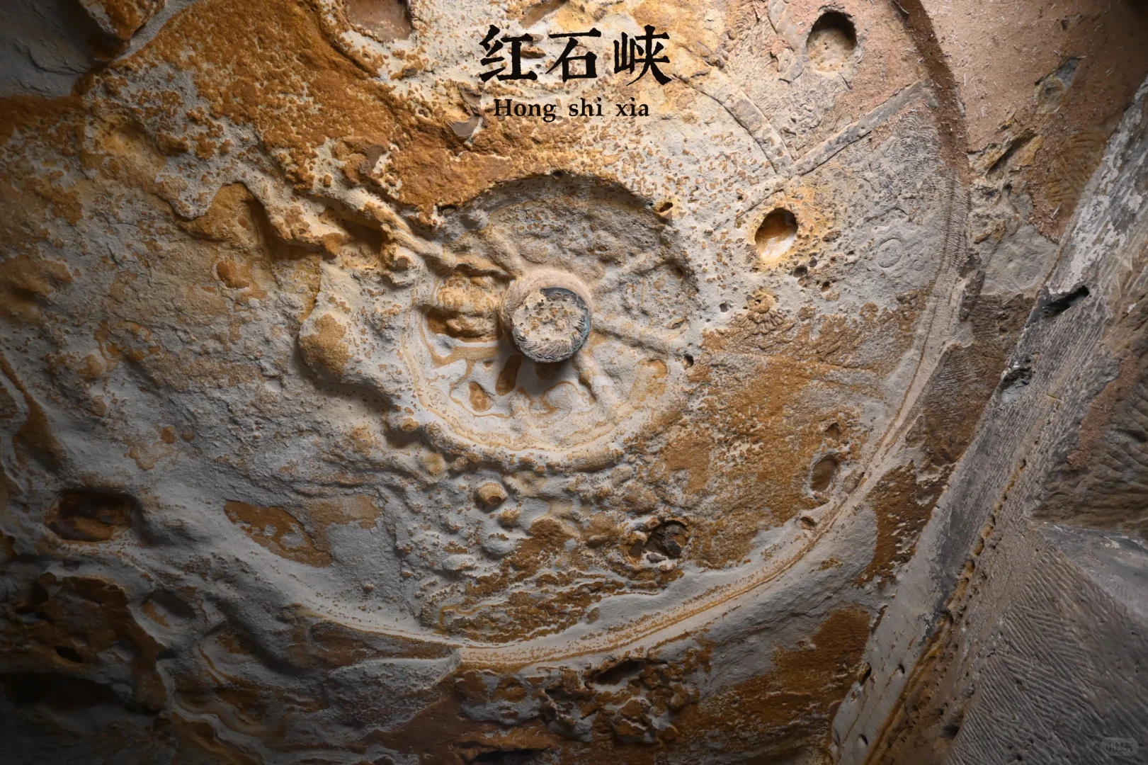 后来，我总是回想起在山谷荡秋千的那个下午