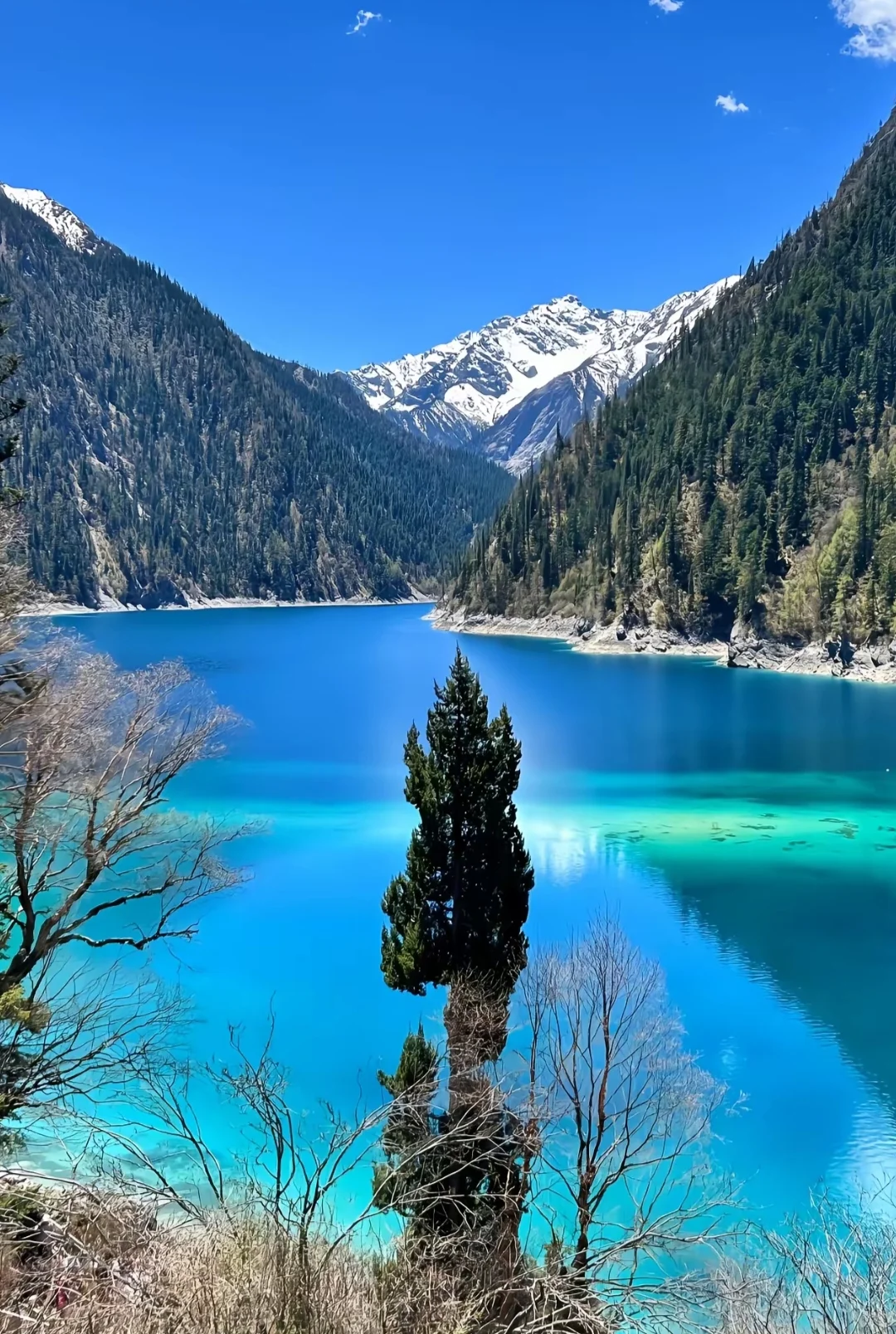 🌟【中国十大绝美自然景区，你去过几个？】