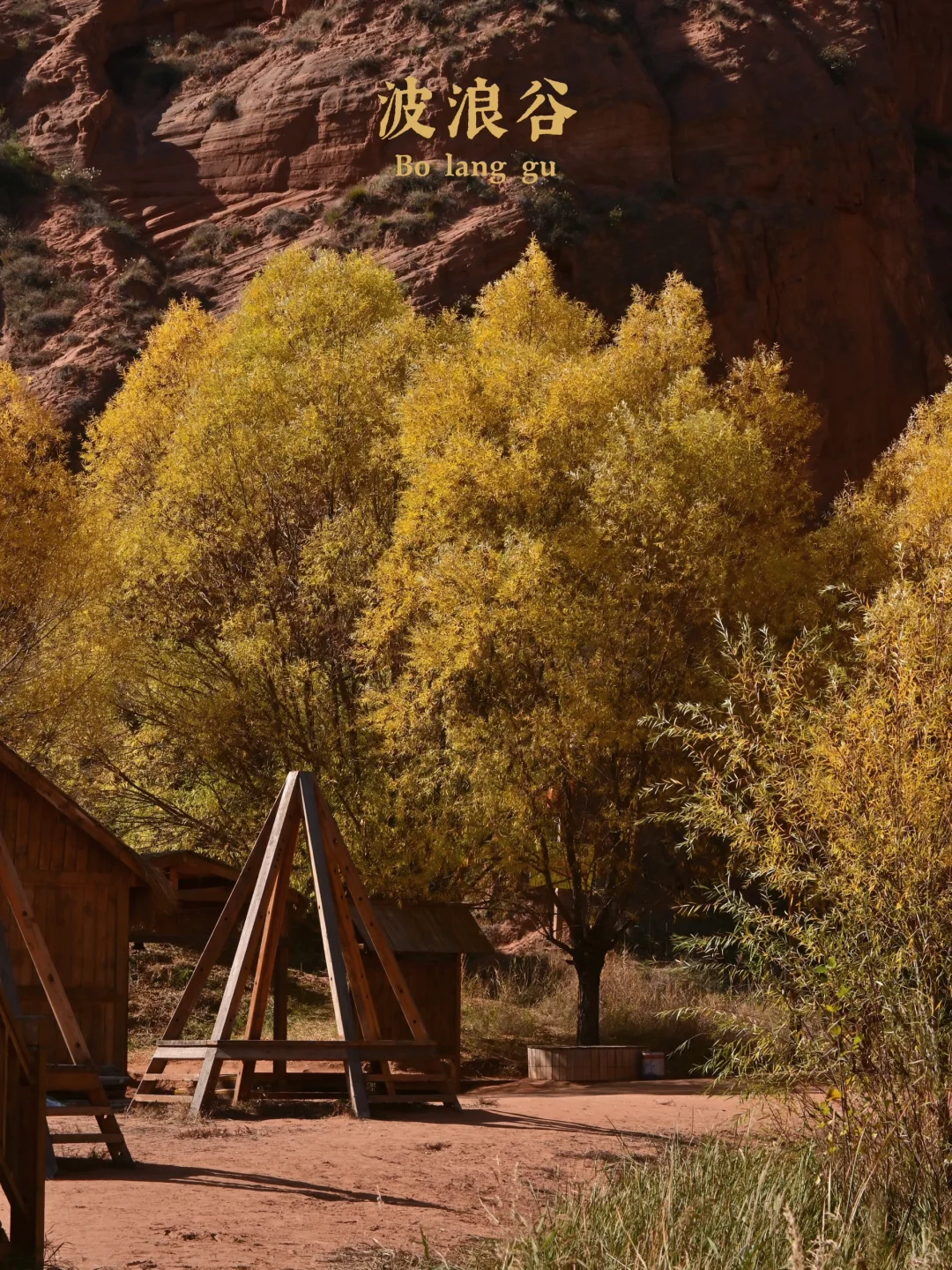 后来，我总是回想起在山谷荡秋千的那个下午