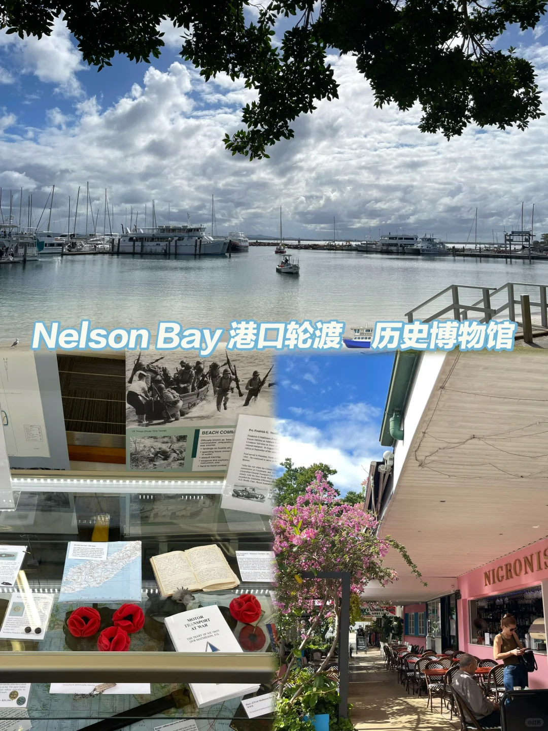 悉尼附近Port Stephens史蒂芬港旅行攻略