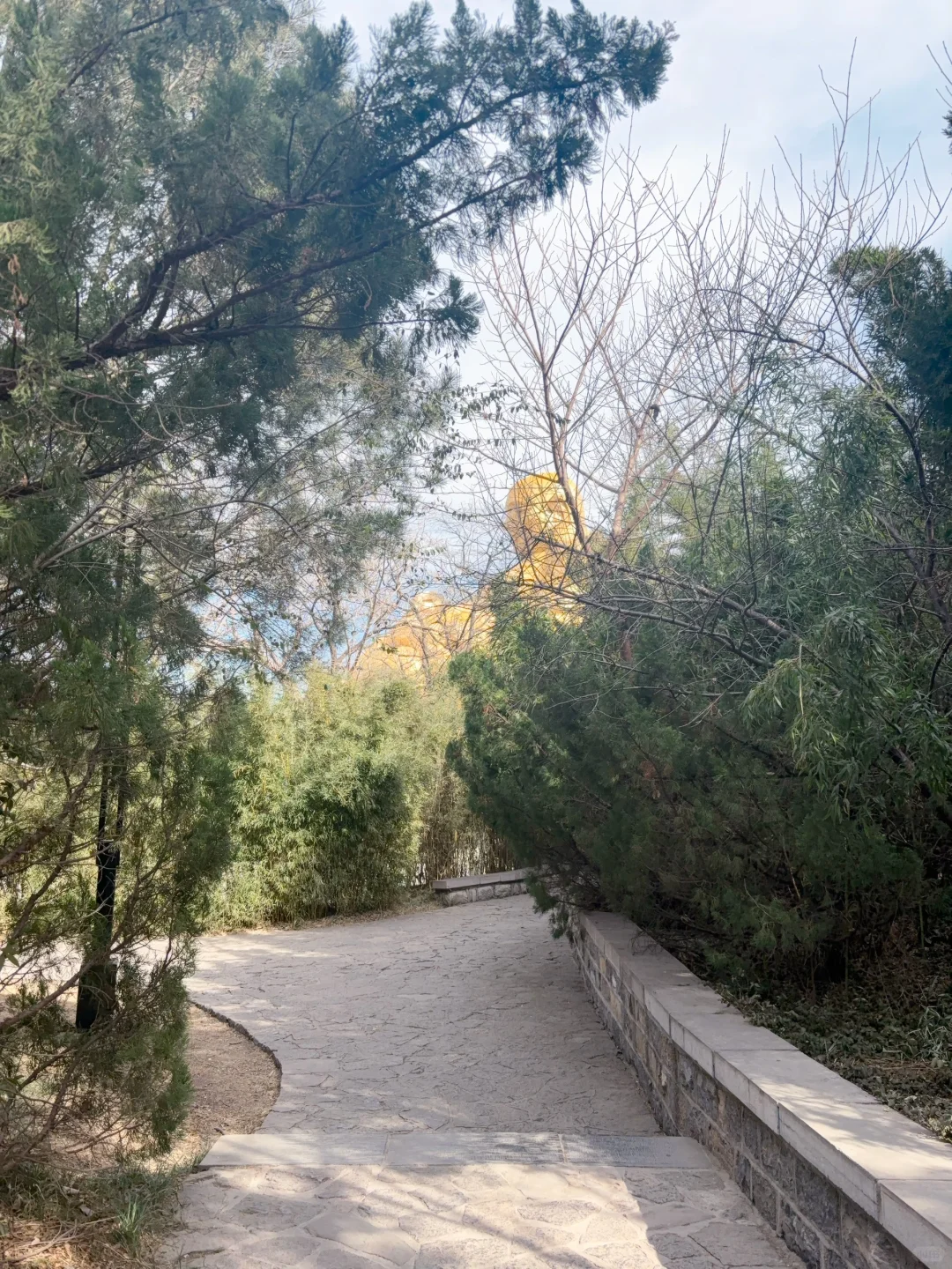 导游证免费景点