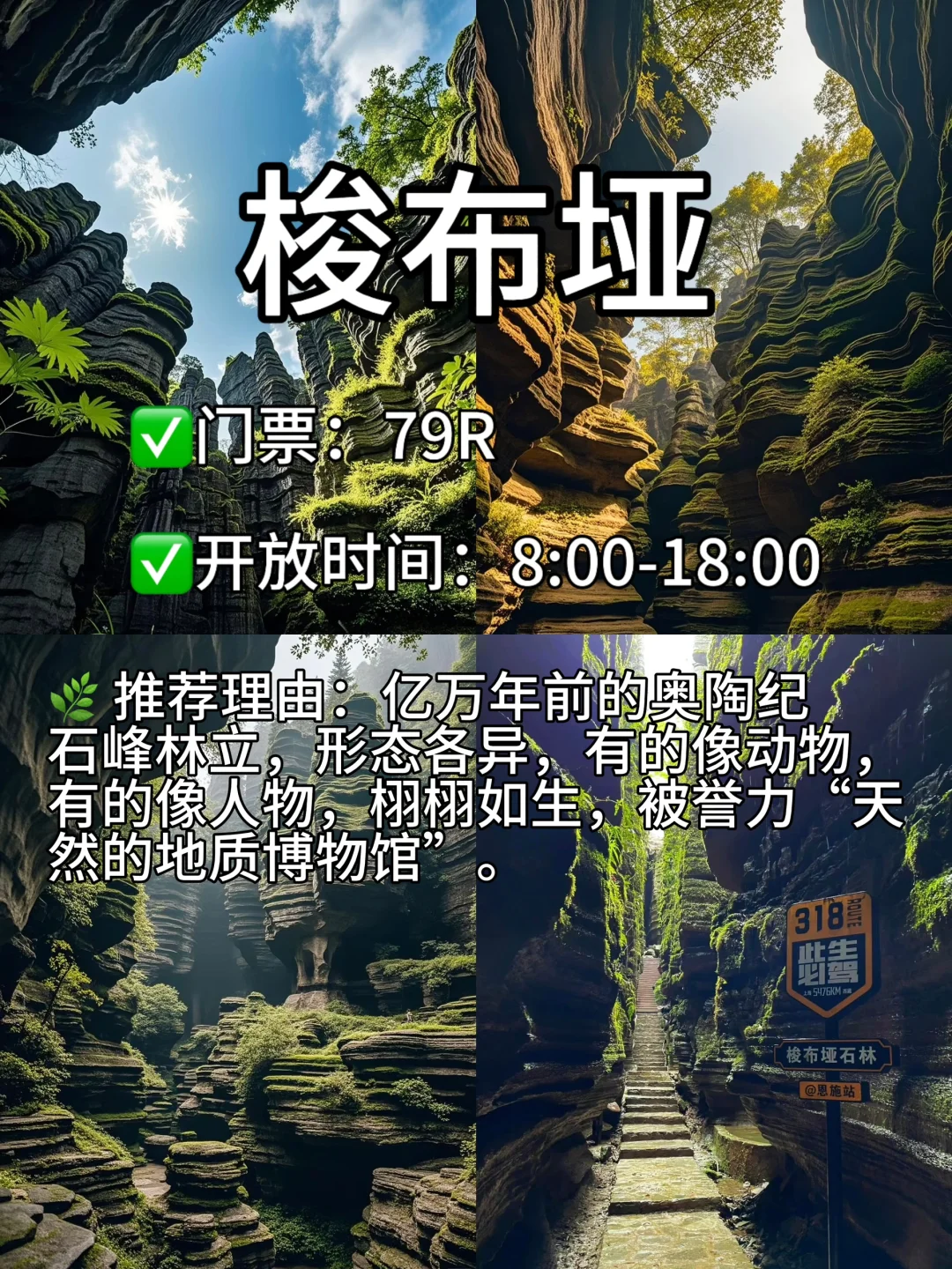 🌿 恩施5天4晚深度游攻略 | 自由行✅超详细