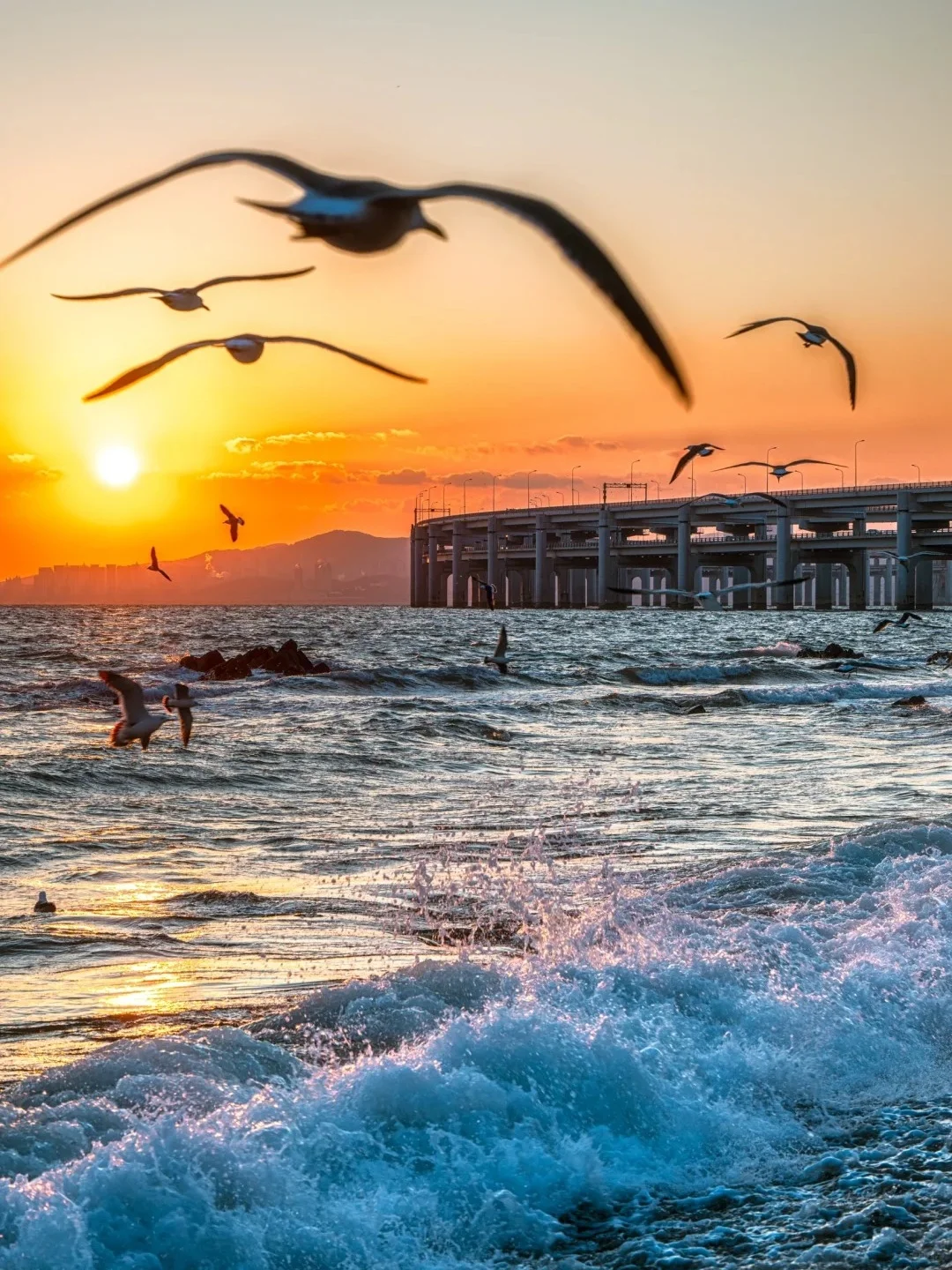 大连必打卡的九个绝美景点❗❗