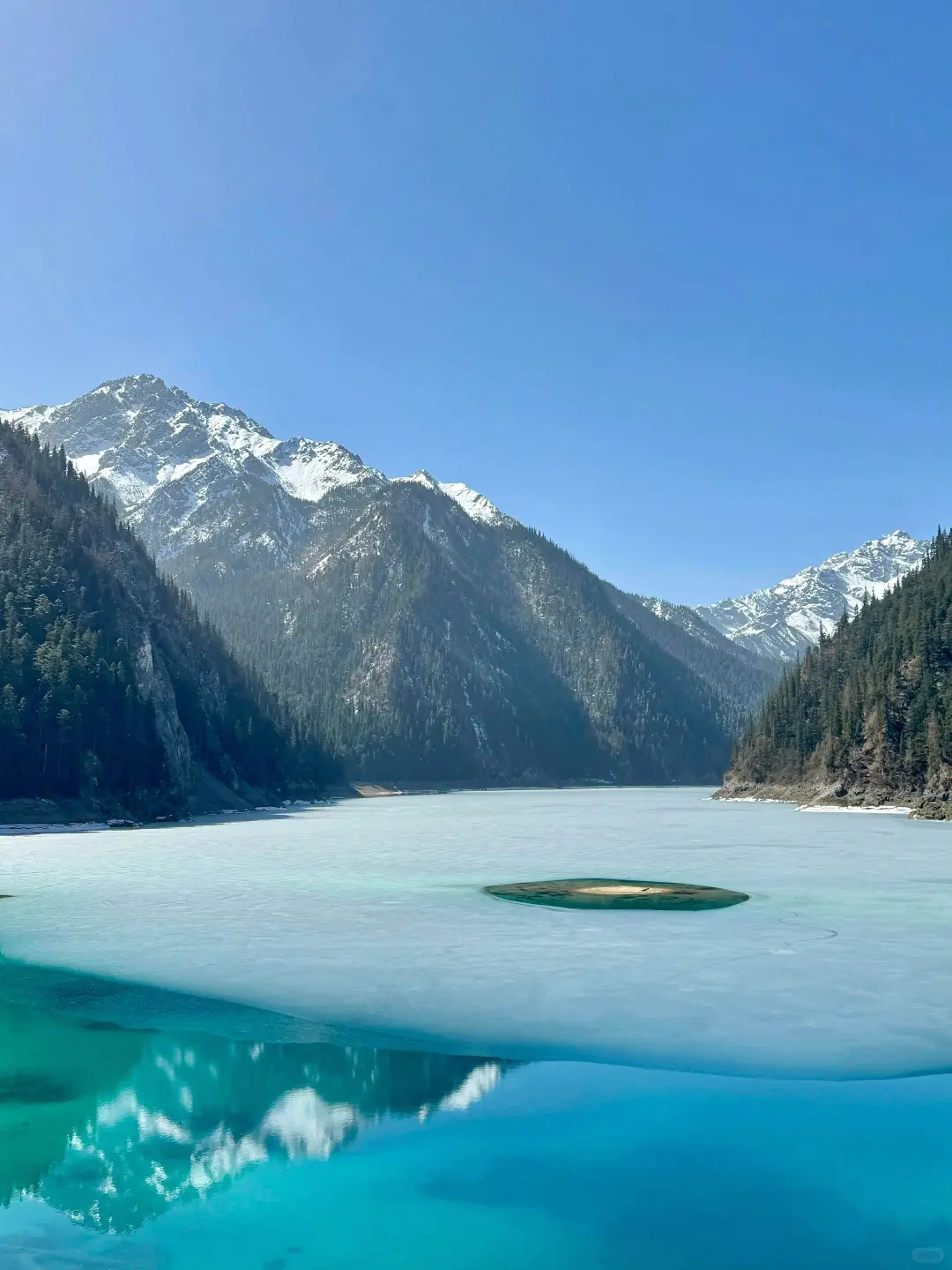 4.14📍九寨沟高铁已回🥶，有点崩溃了.