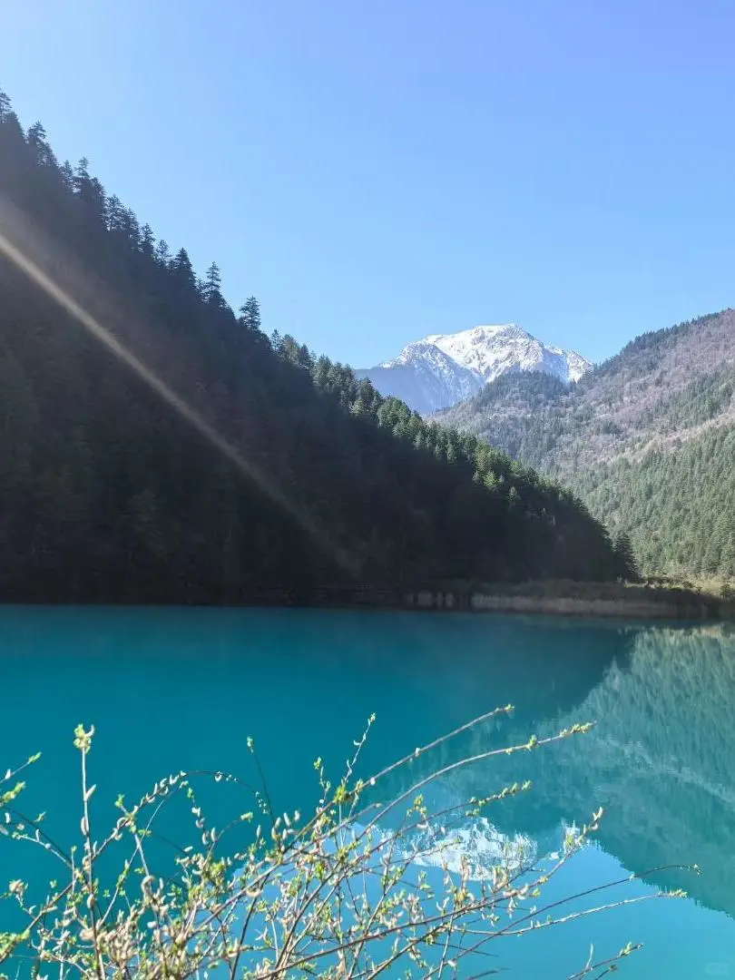 4.14📍九寨沟高铁已回🥶，有点崩溃了.