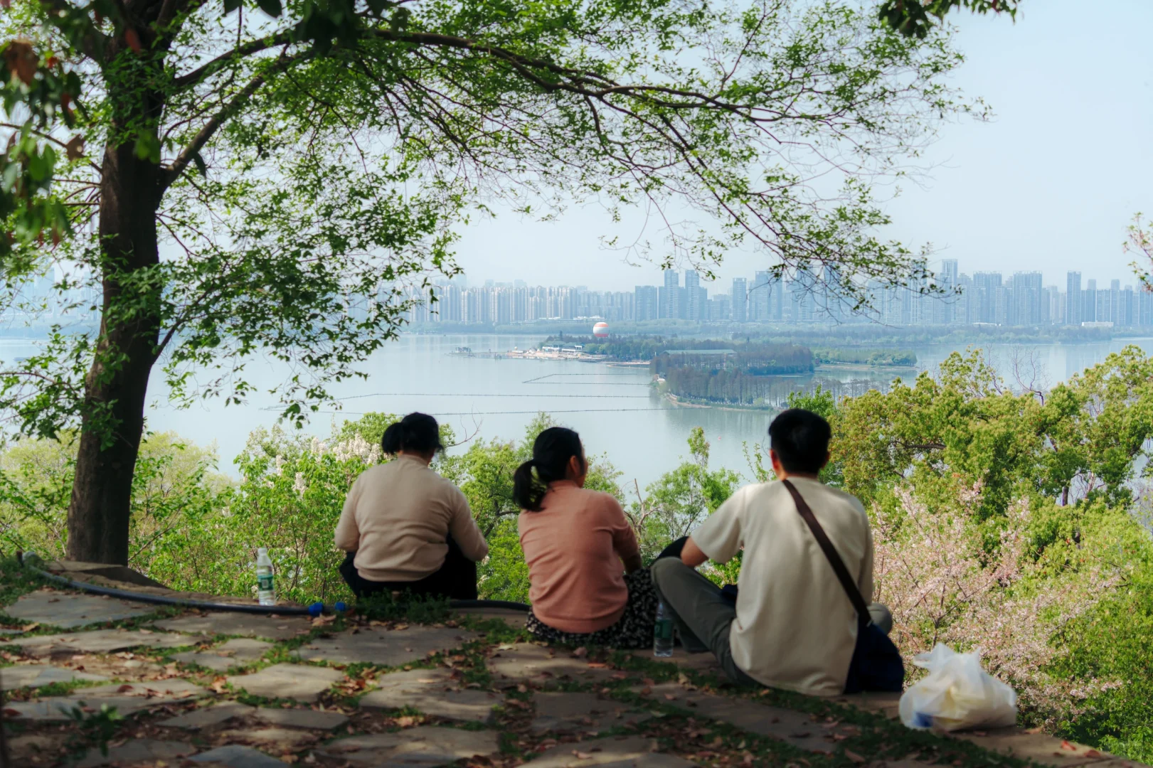 上春山 | 东湖磨山