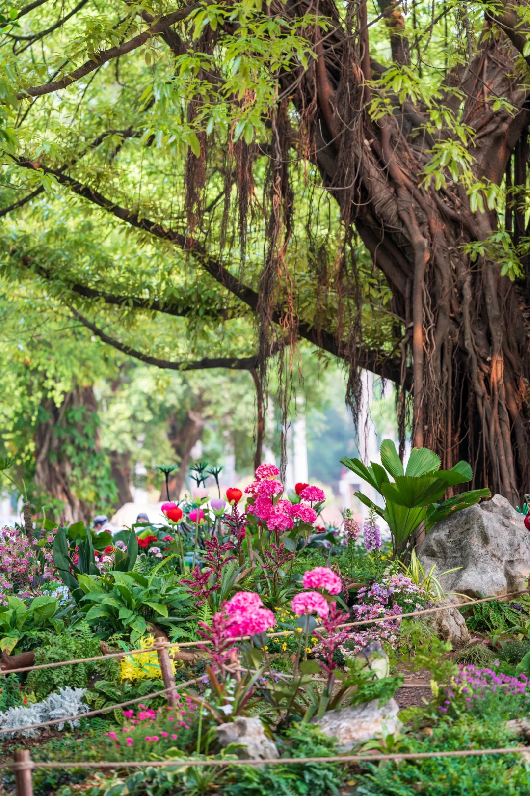 南湖！你只是一个免费公园！不是景区