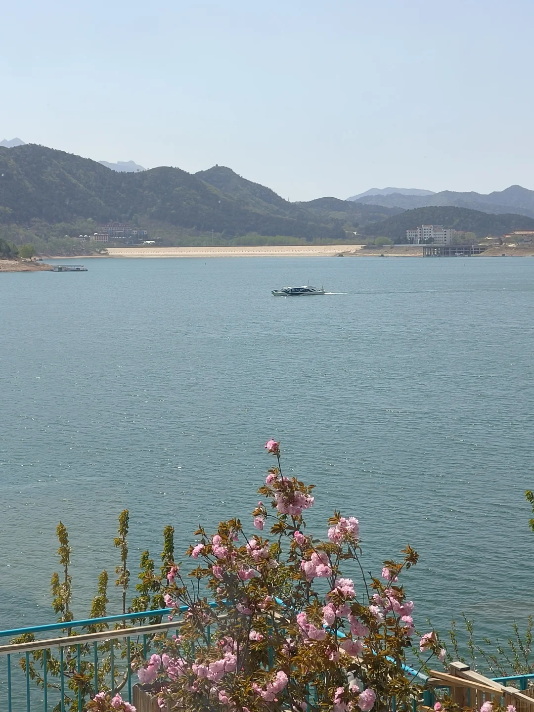 京郊出游｜平谷桃花海，乱花渐欲迷人眼