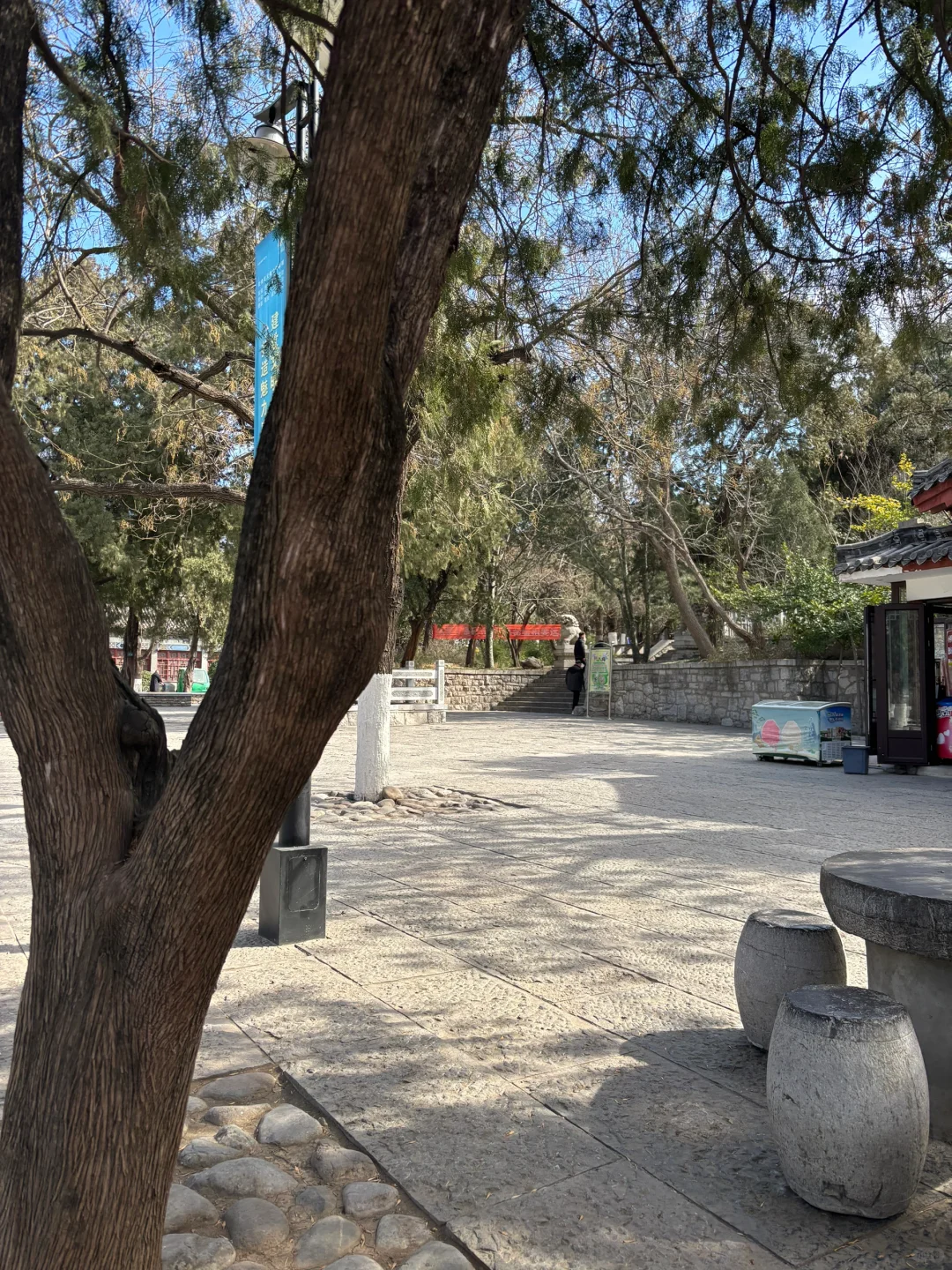 导游证免费景点