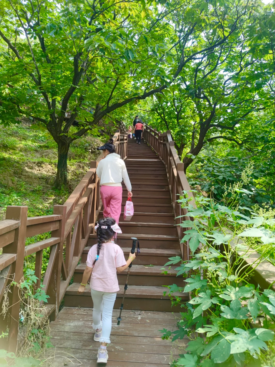 带娃可冲！亲测推荐京郊8️⃣大秘境步道