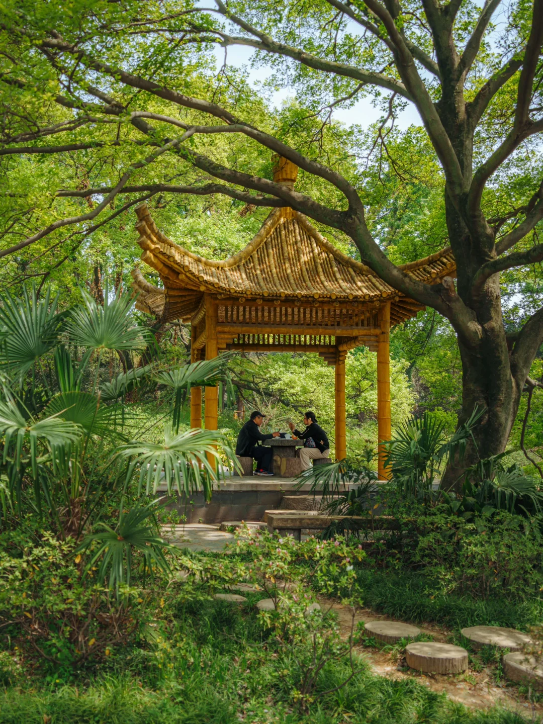 上春山 | 东湖磨山