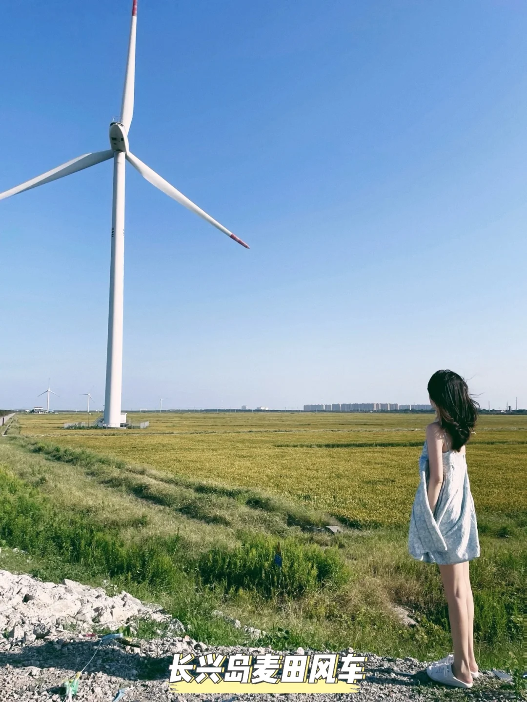 崇明适合穷游的11个免费景点！学生党快冲~