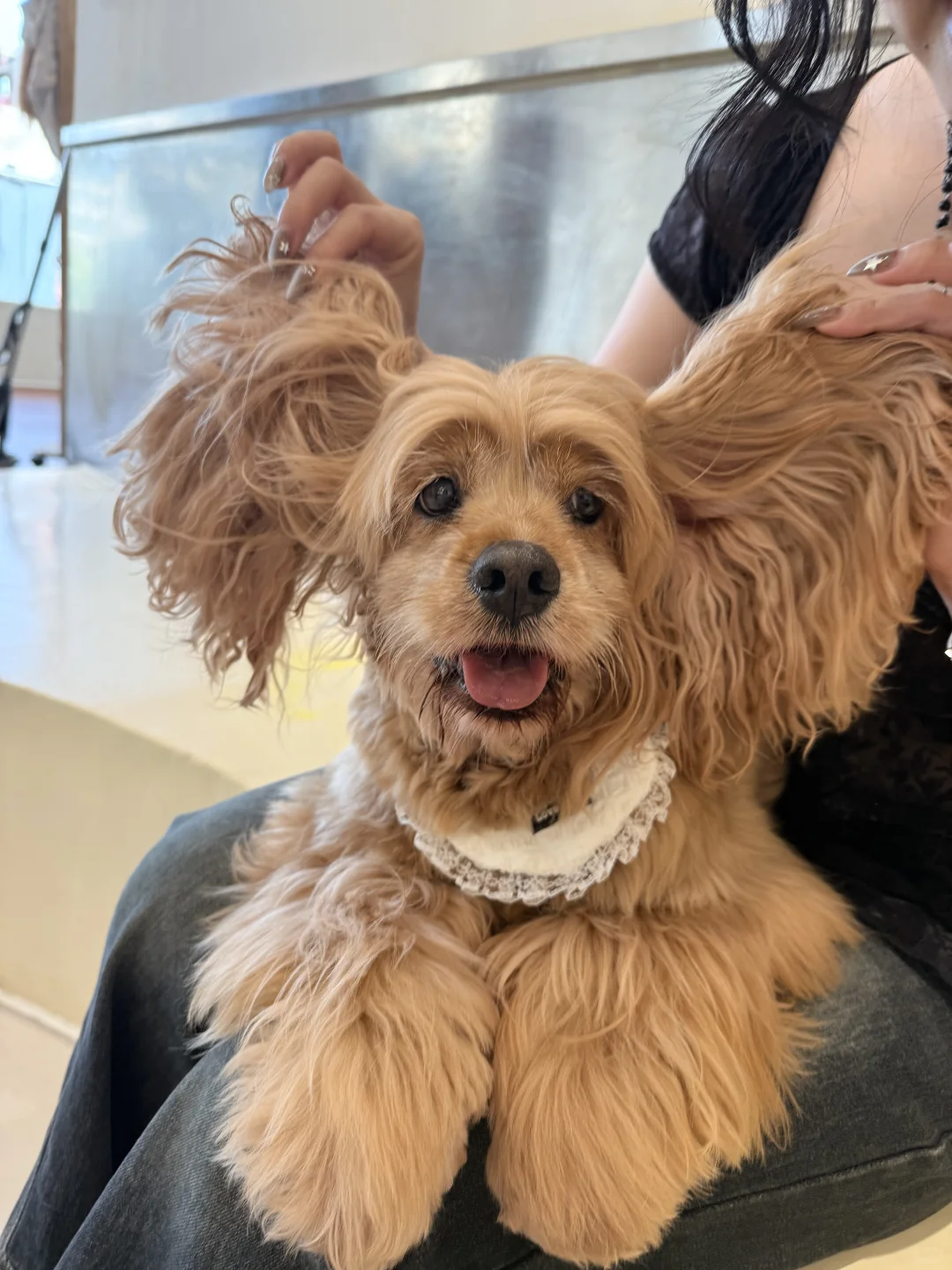 圆满结束的重庆之旅