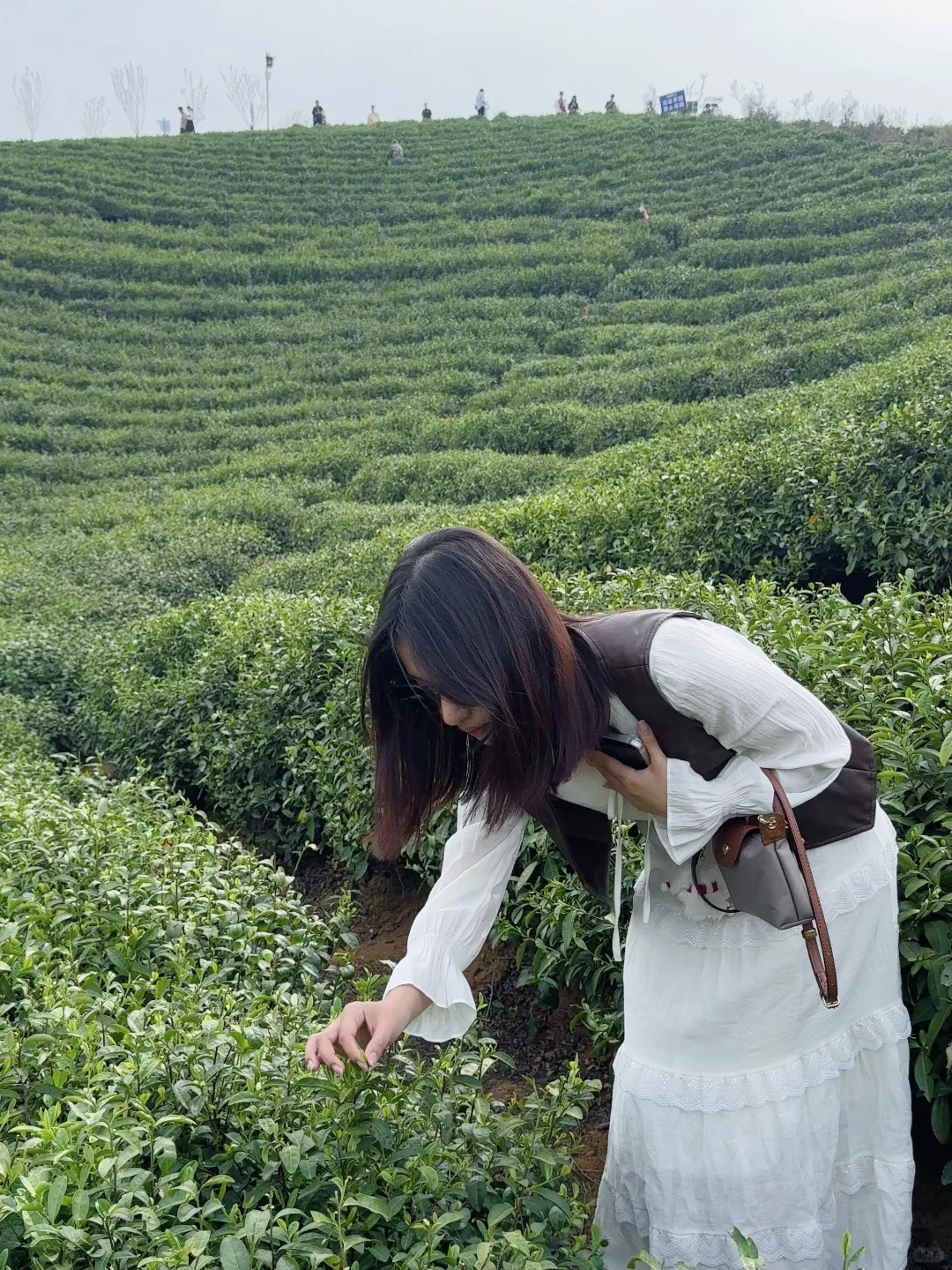 郑州周边看落日圣地——信阳孔雀岛