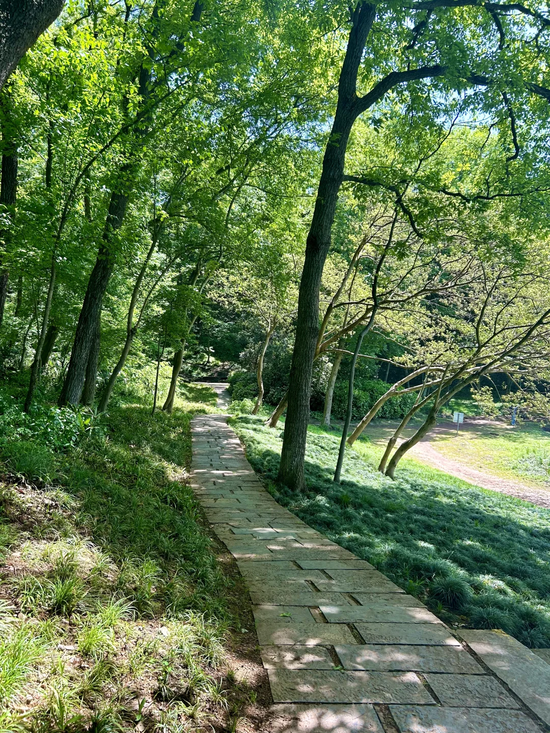 南京半日游!推荐❶条私藏小众秘境路线