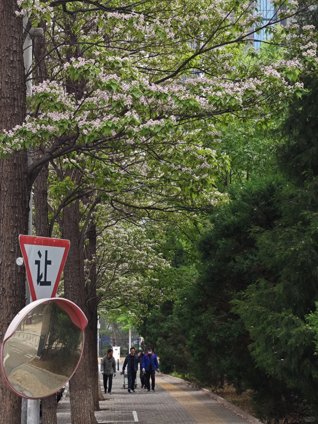 去往北京的春天