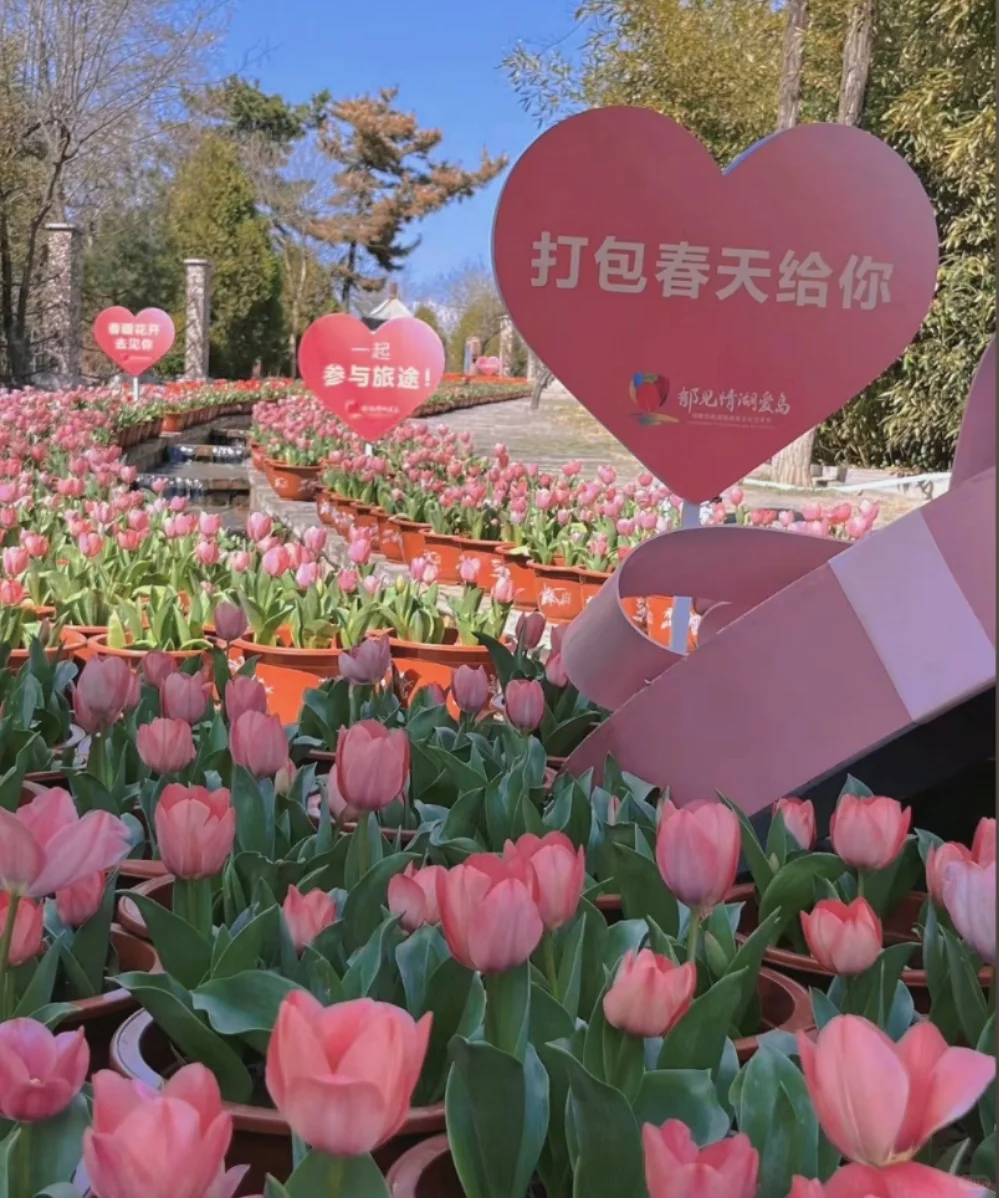 邯郸去京娘湖一日游，赏花+游山+玩水！