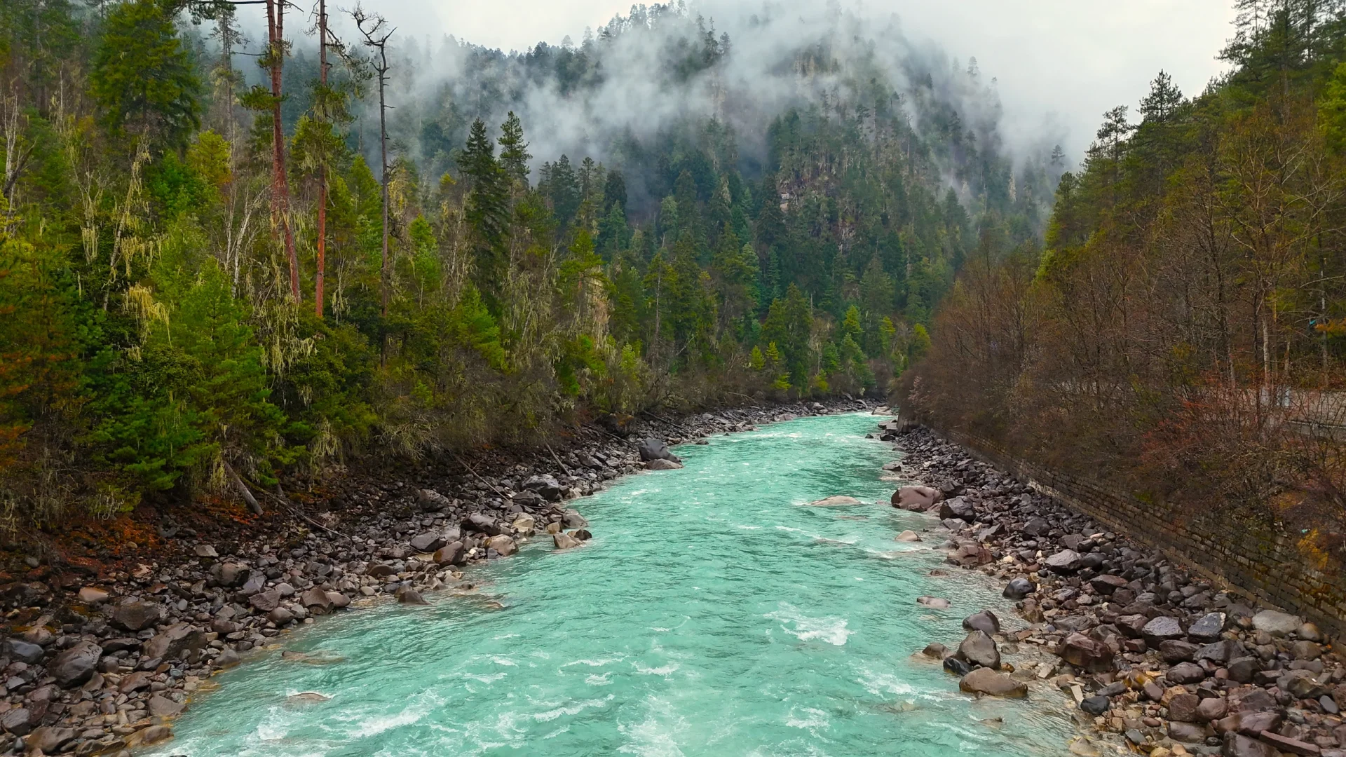 4月 波密-林芝-拉萨超详细小众出片景点