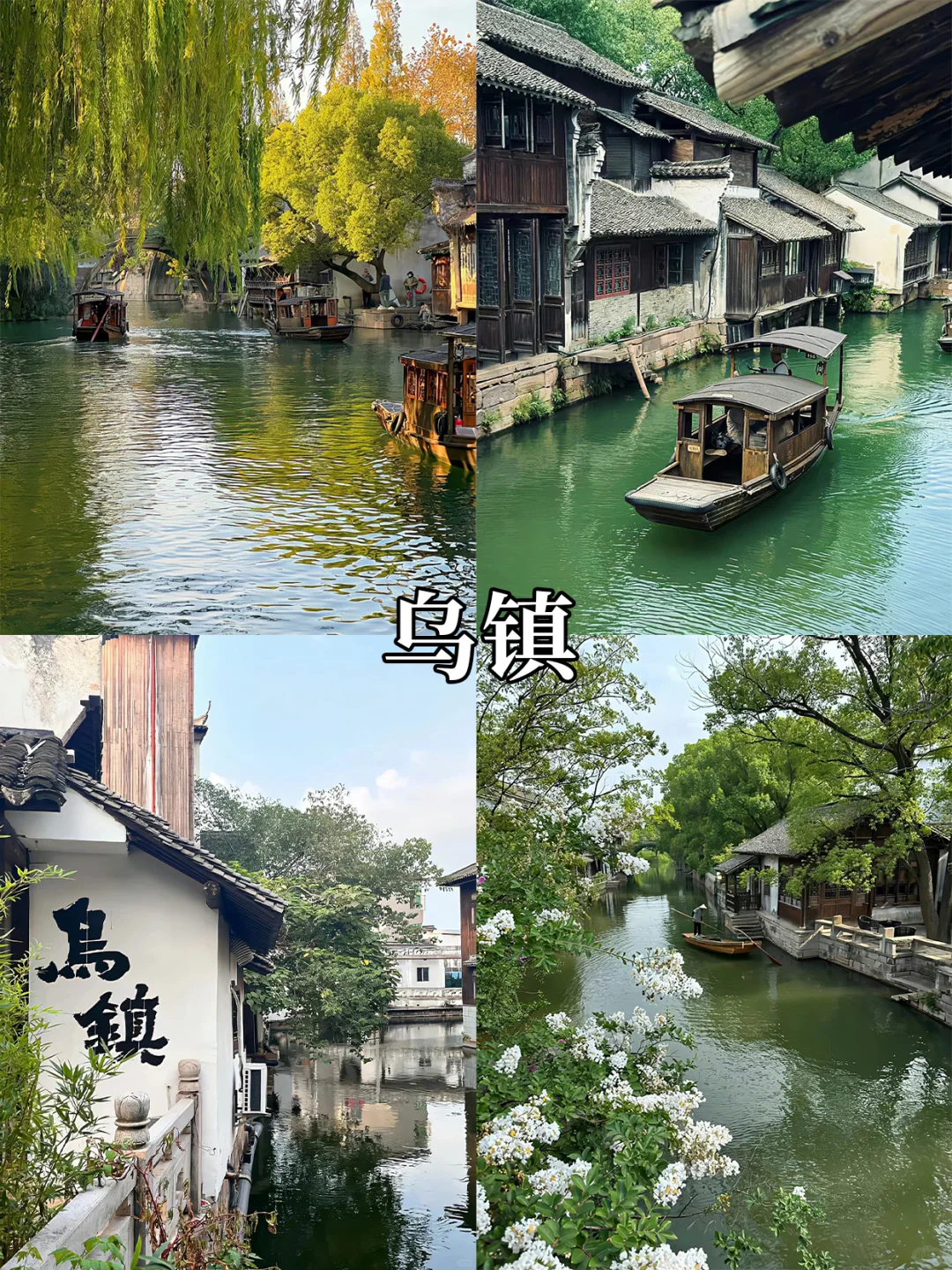 🌿五一江浙沪周边游 | 这 9 个宝藏一定刷到