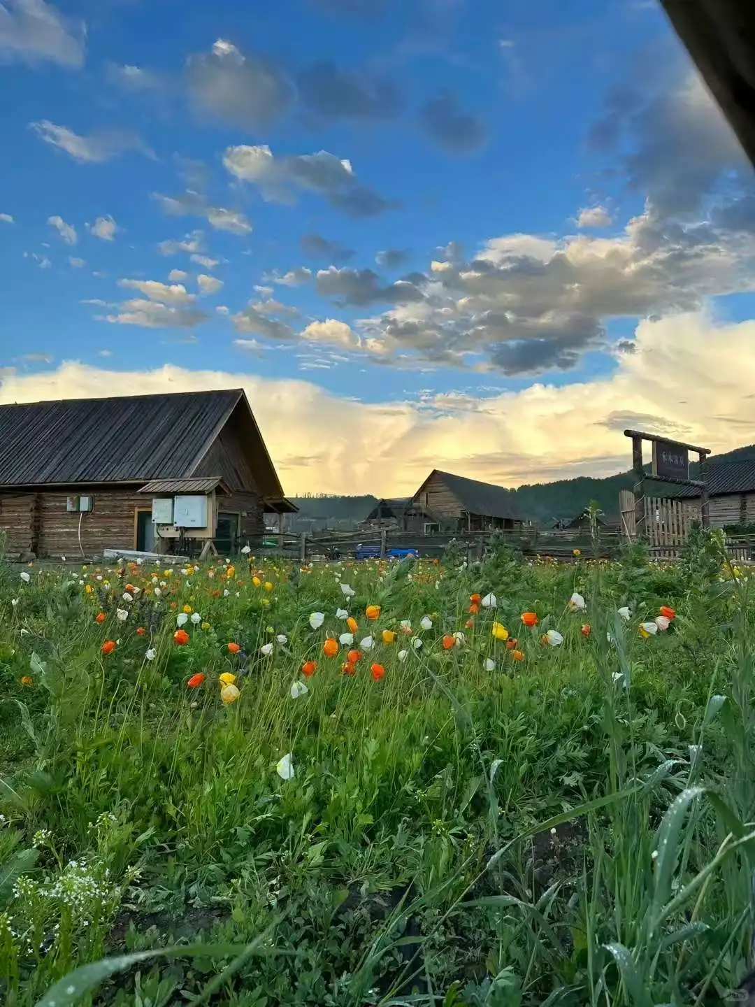 🌿新疆|建议能量低的人都去一下这个景点