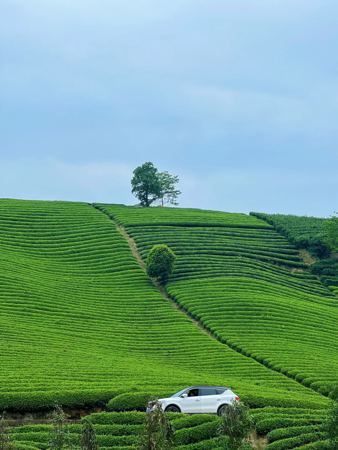 梁思成没骗我!这里真的是超冷门小众的小城!