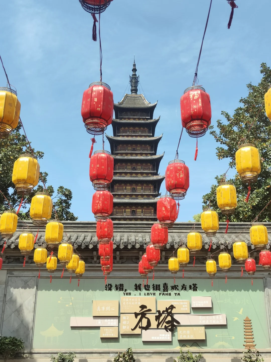 苏州常熟｜这里的木绣球和木香花开得很好