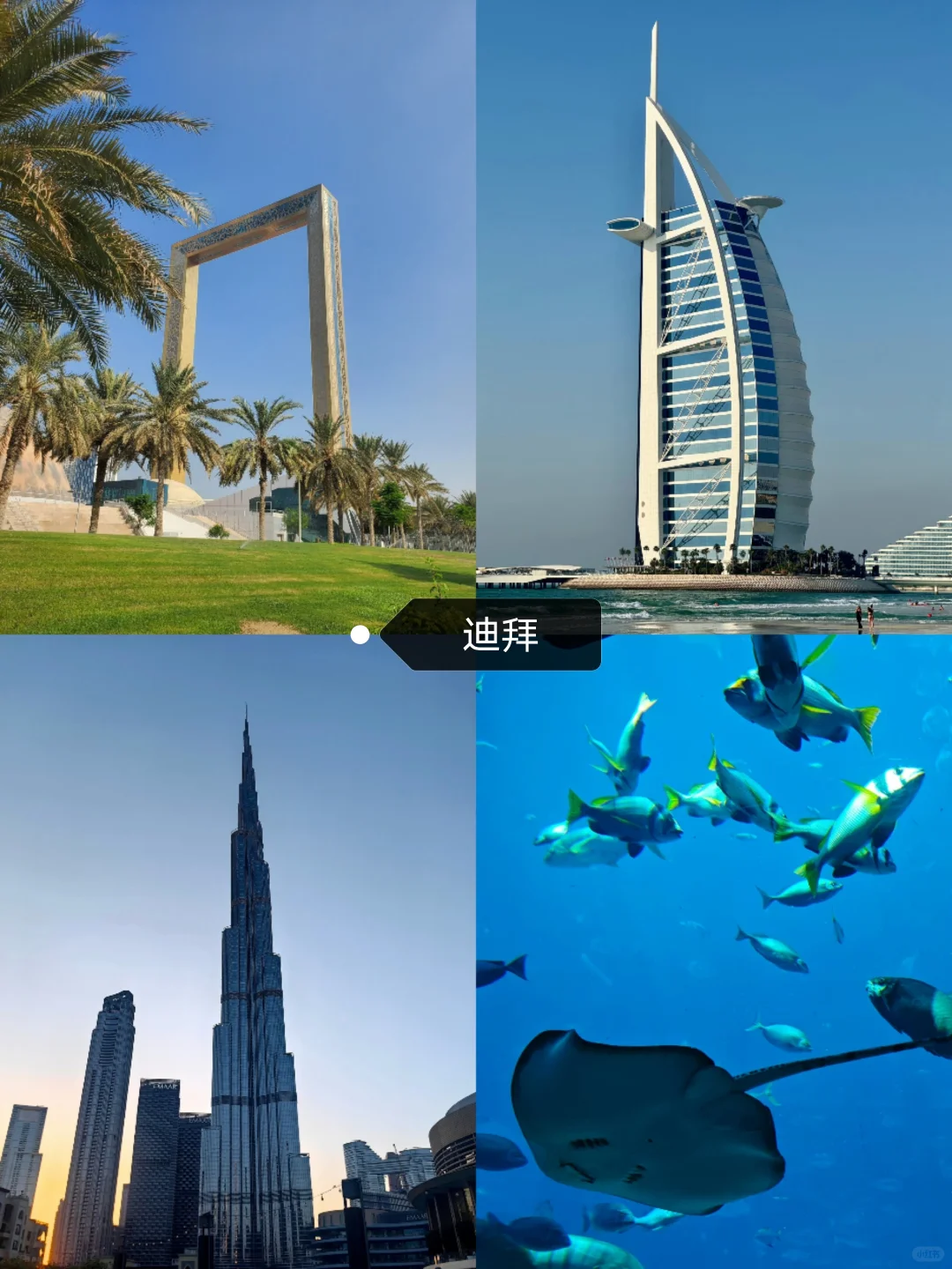 乐游迪拜，阿联酋迪拜阿布扎比